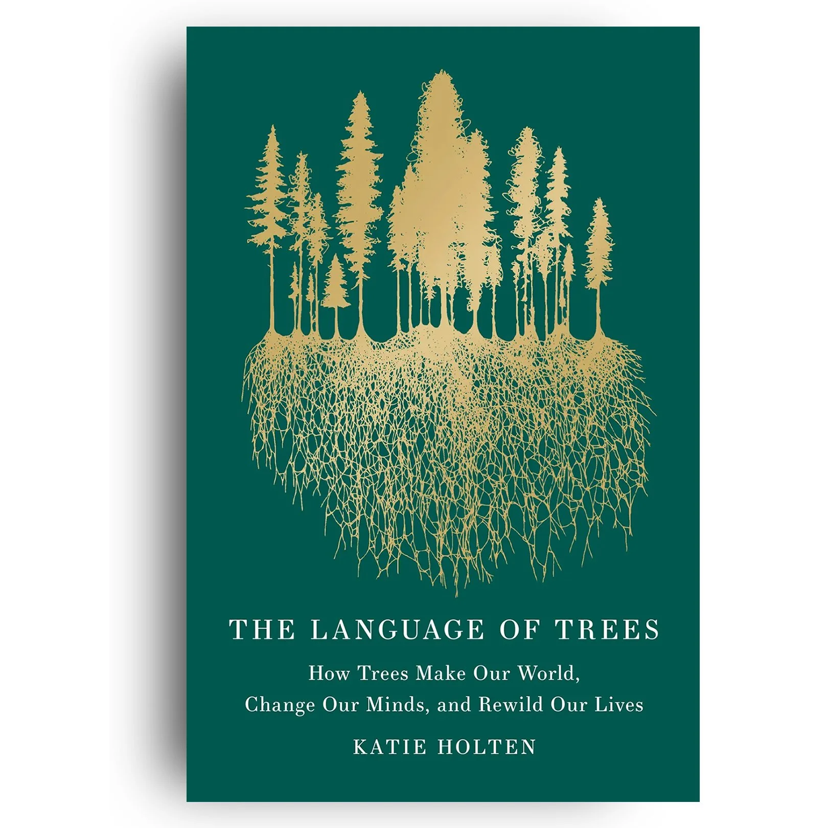 HB 2026 front cover with shadow .jpg