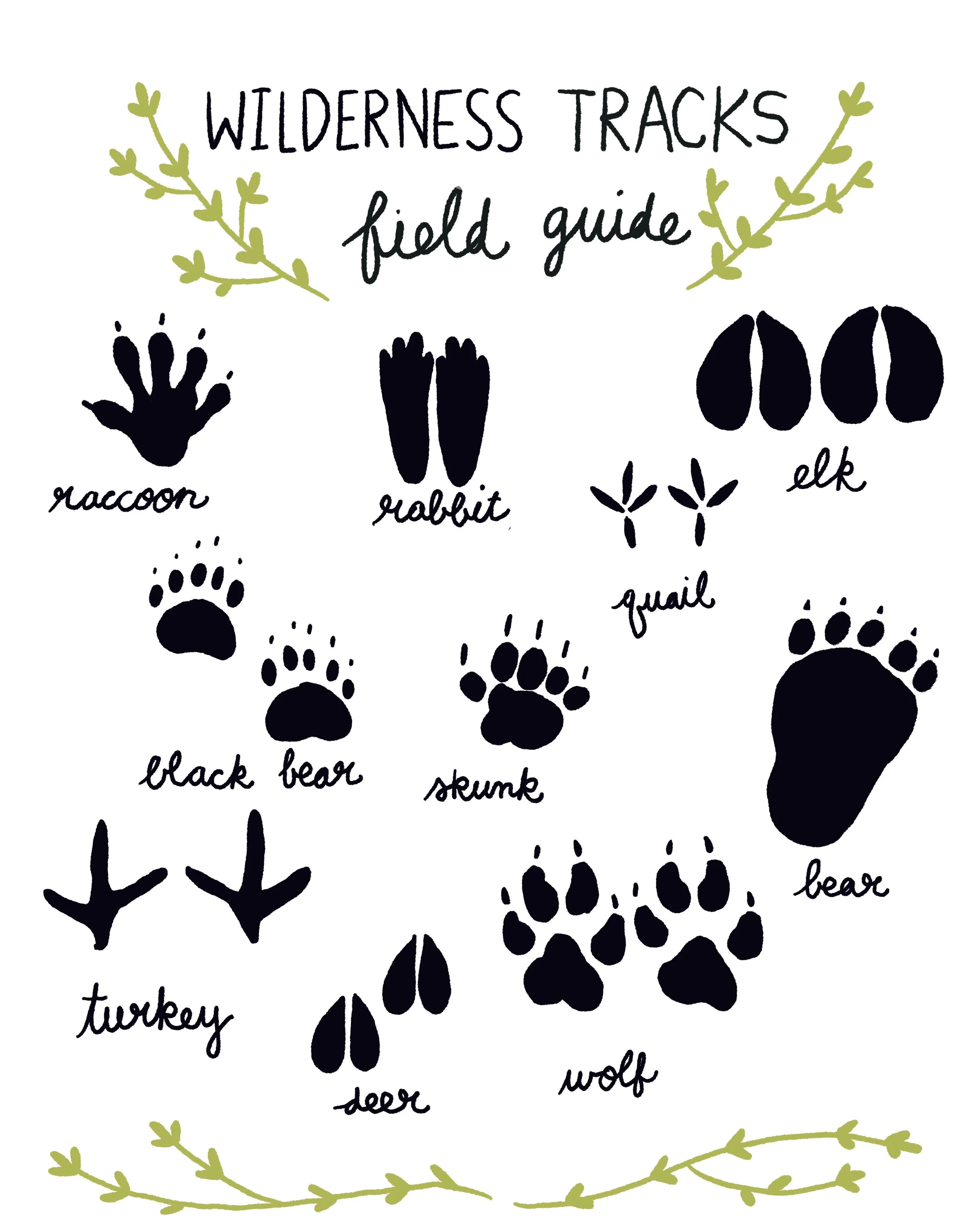 K2306A wilderness guide.JPG