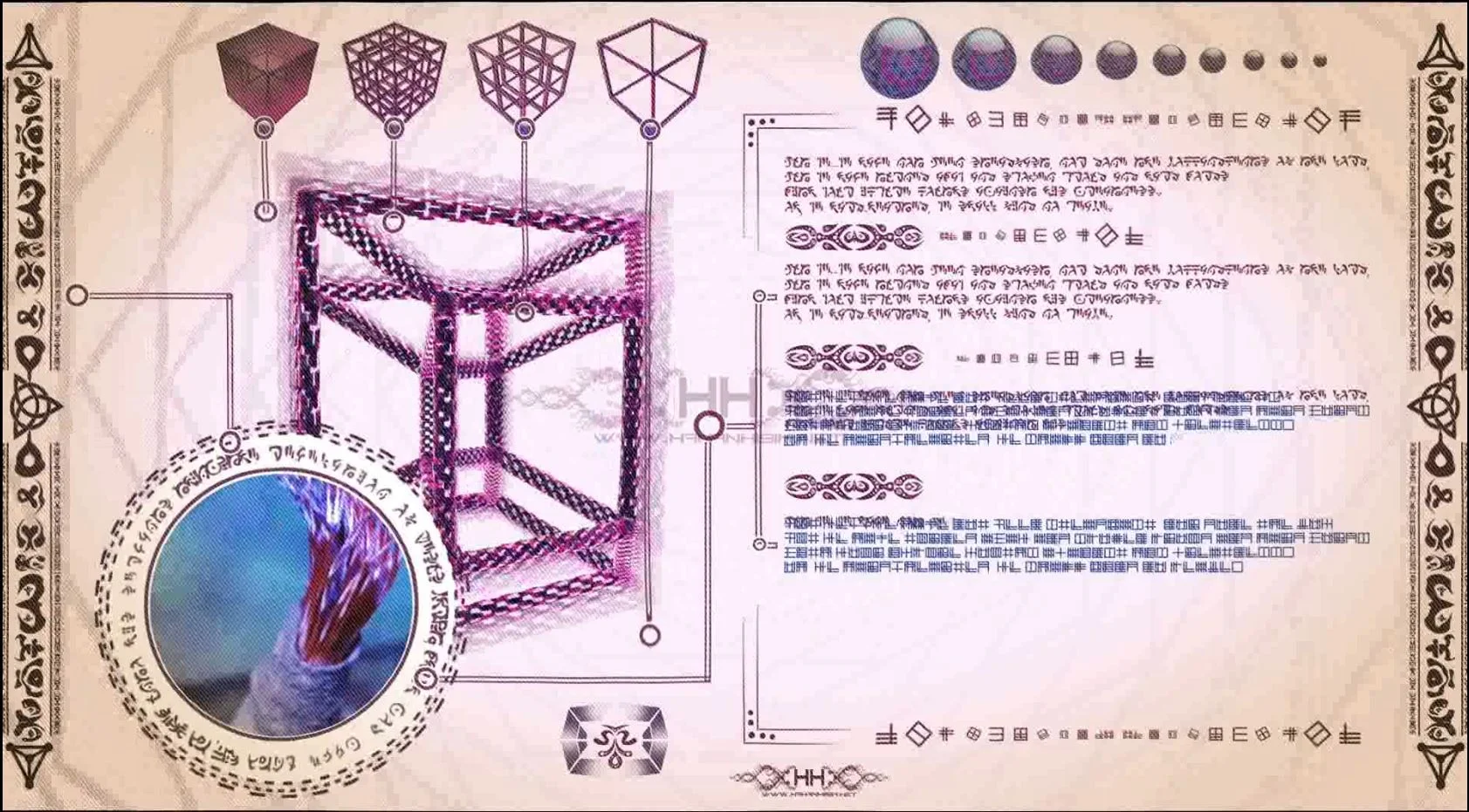 Universal Transmissions in Motion