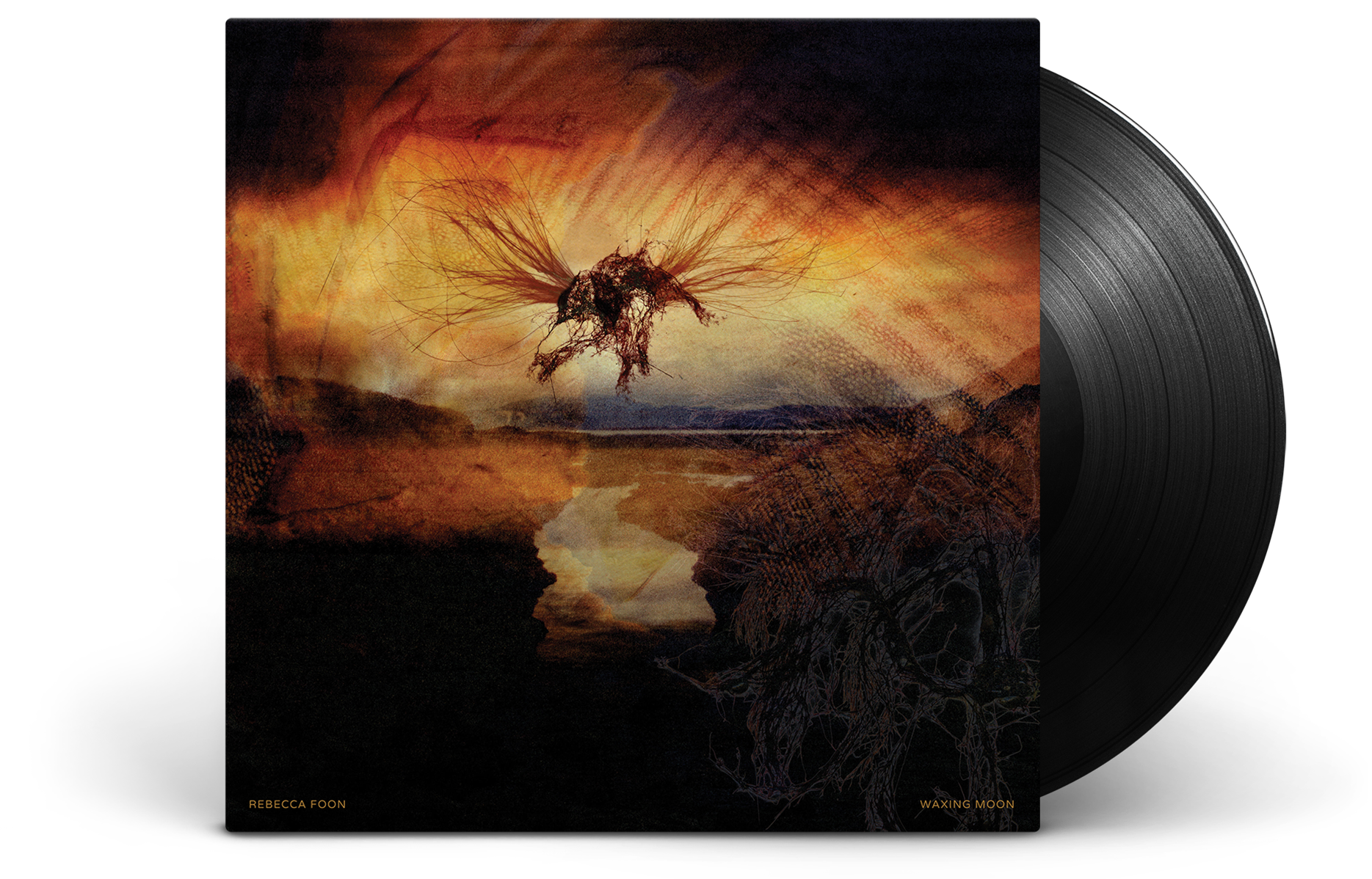 Ocean song album.png