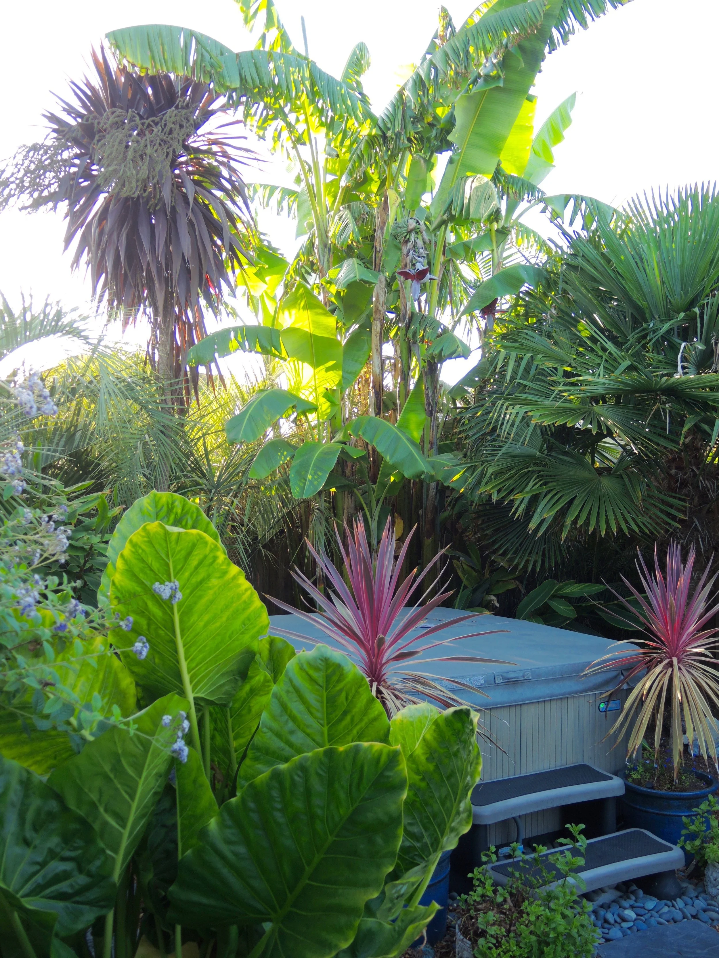DSCN9324.jpg