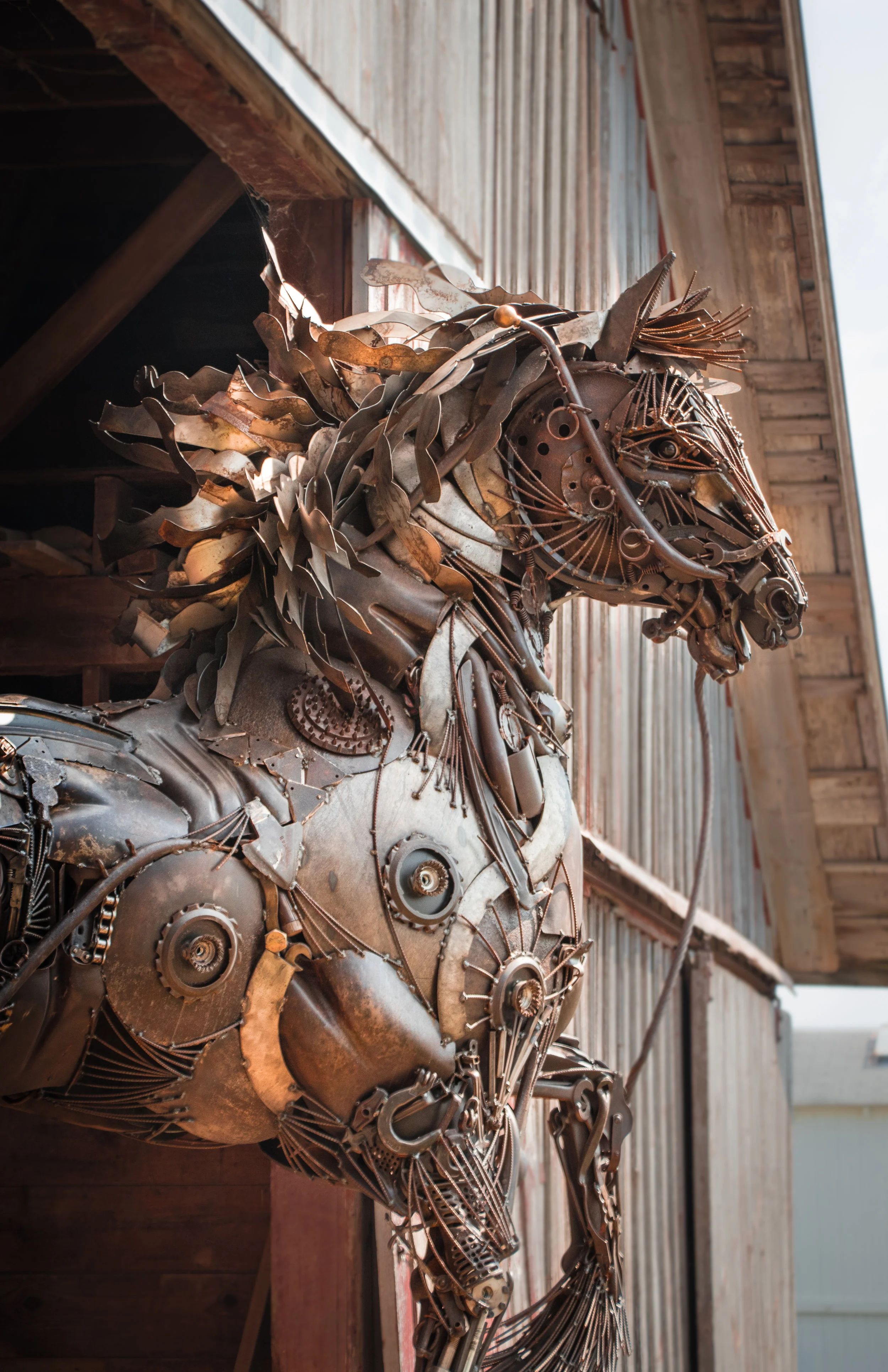 Spirited metal horse sculpture