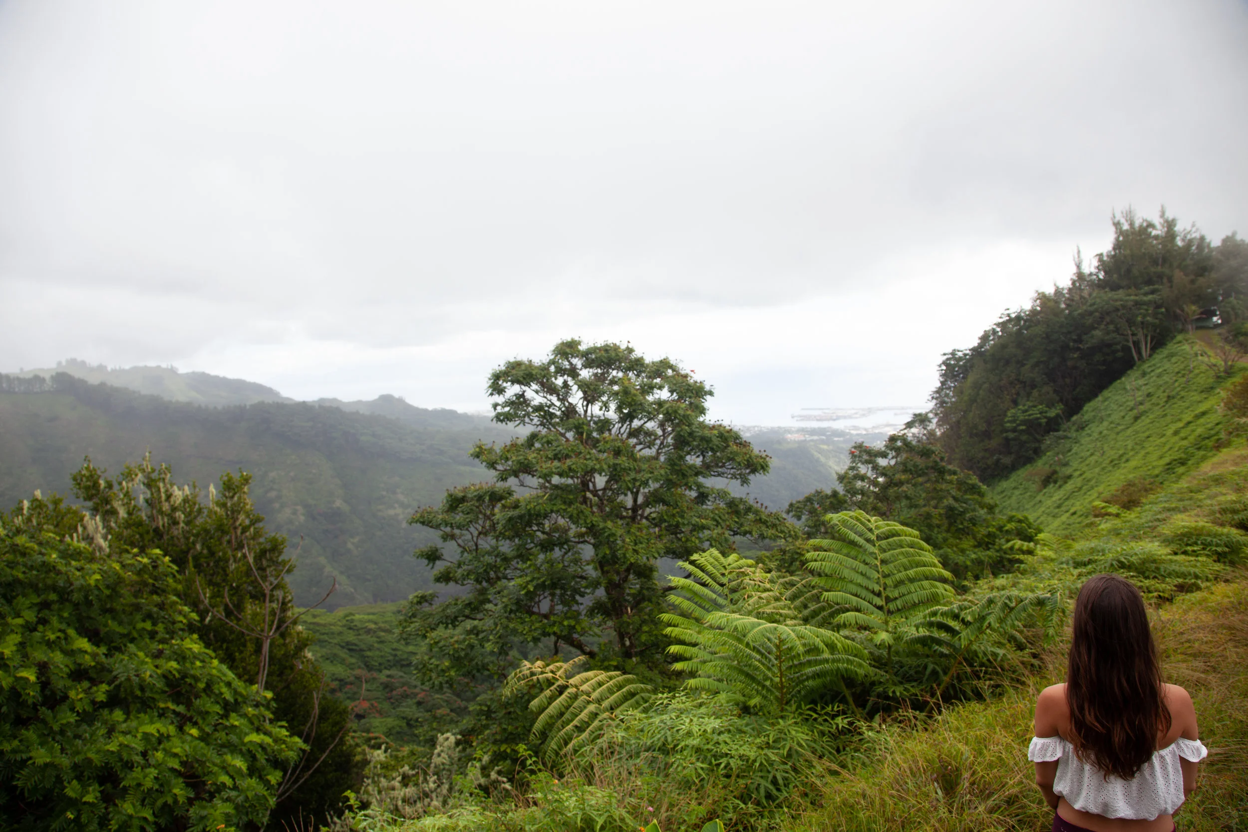 Randonnée de la Aorai à Tahiti