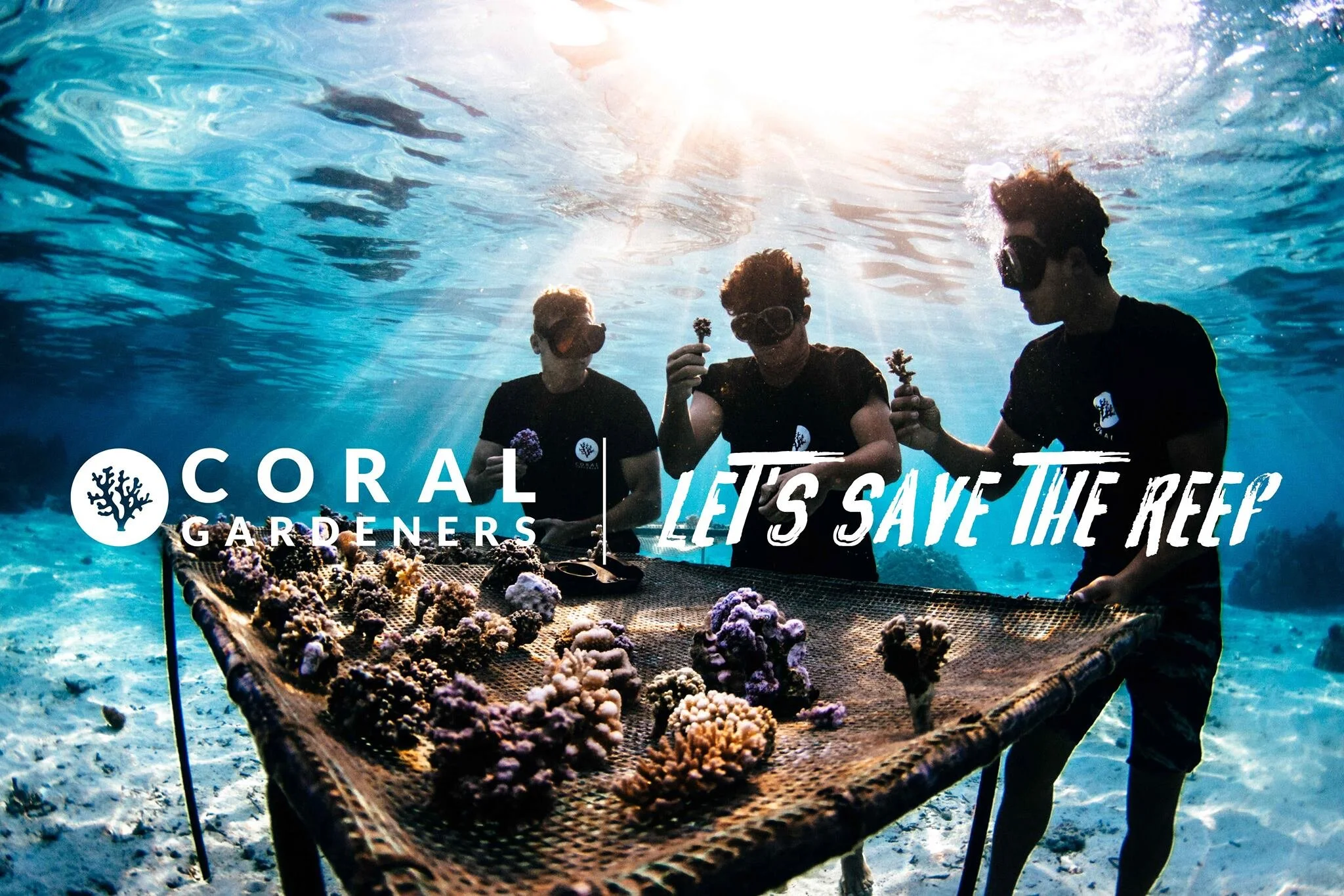 coral gardeners tahiti environnement