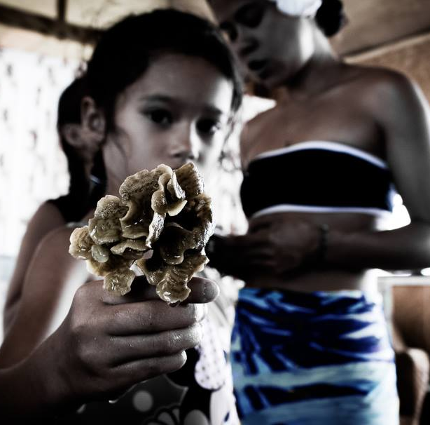tahiti coral gardeners environnement voyage