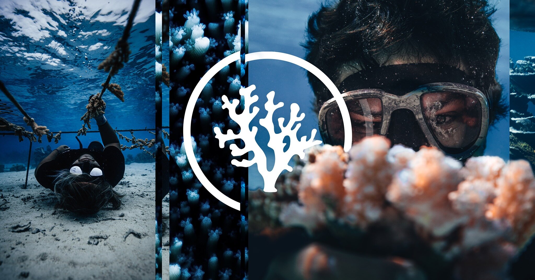 tahiti coral gardeners environnement voyage ecotourisme