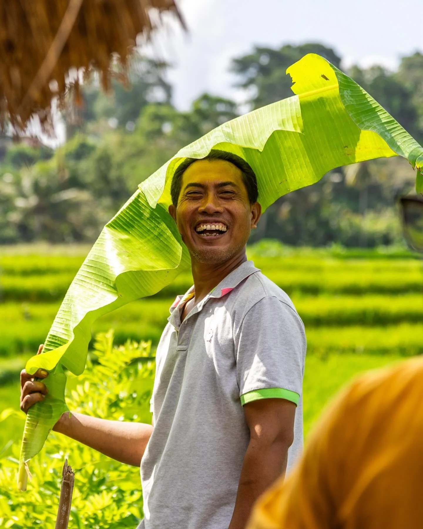 La relation précède la contribution