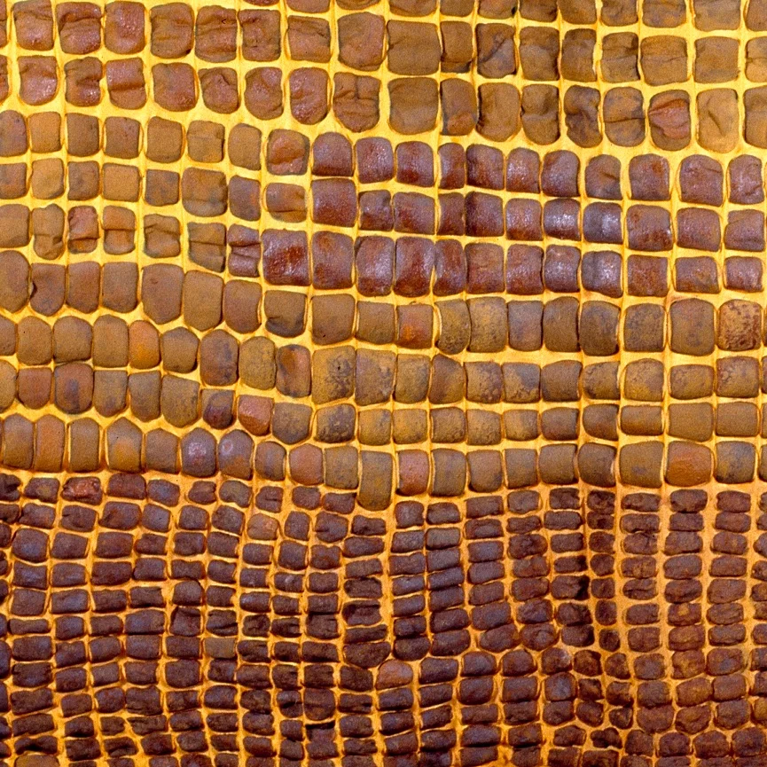 Generations II DETAIL