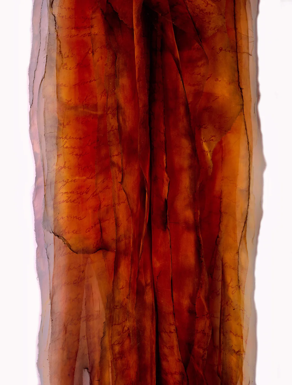 Lost Dialect DETAIL Silk gauze, thread / dye 72" x 18" x 6" 1991