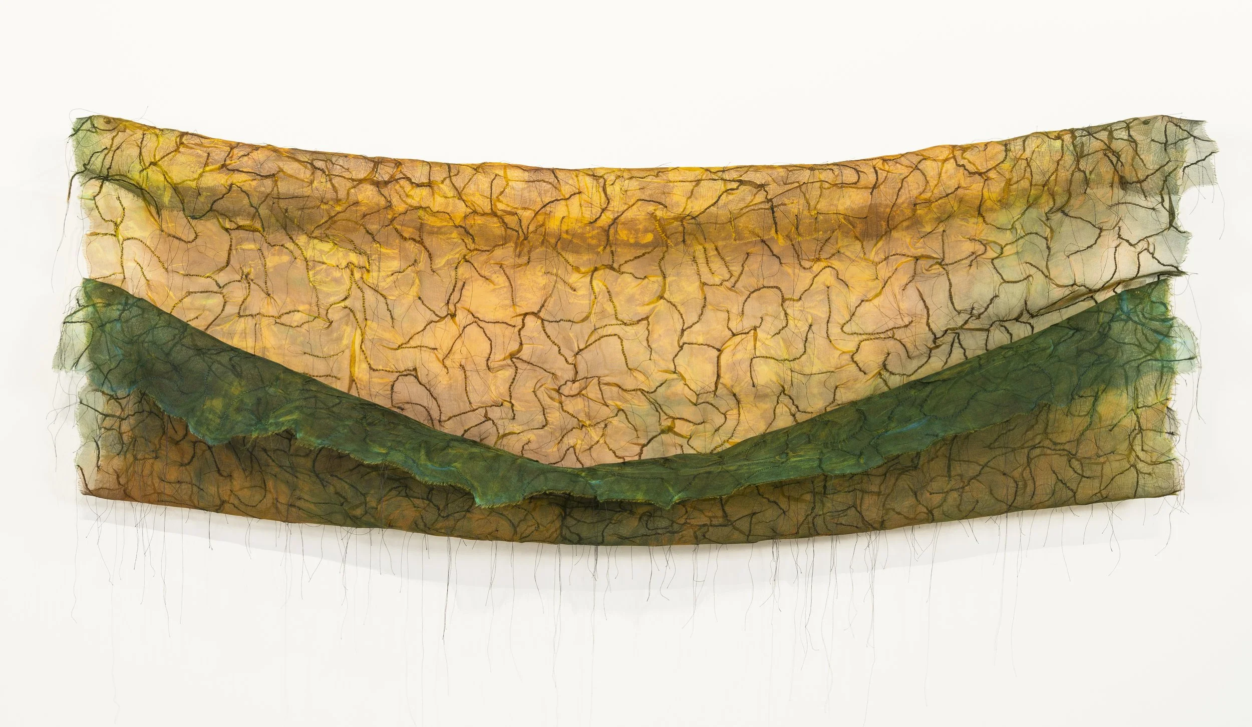 The Field is Sown Silk, thread / dyed, hand-stitched 30" x 48" 2010