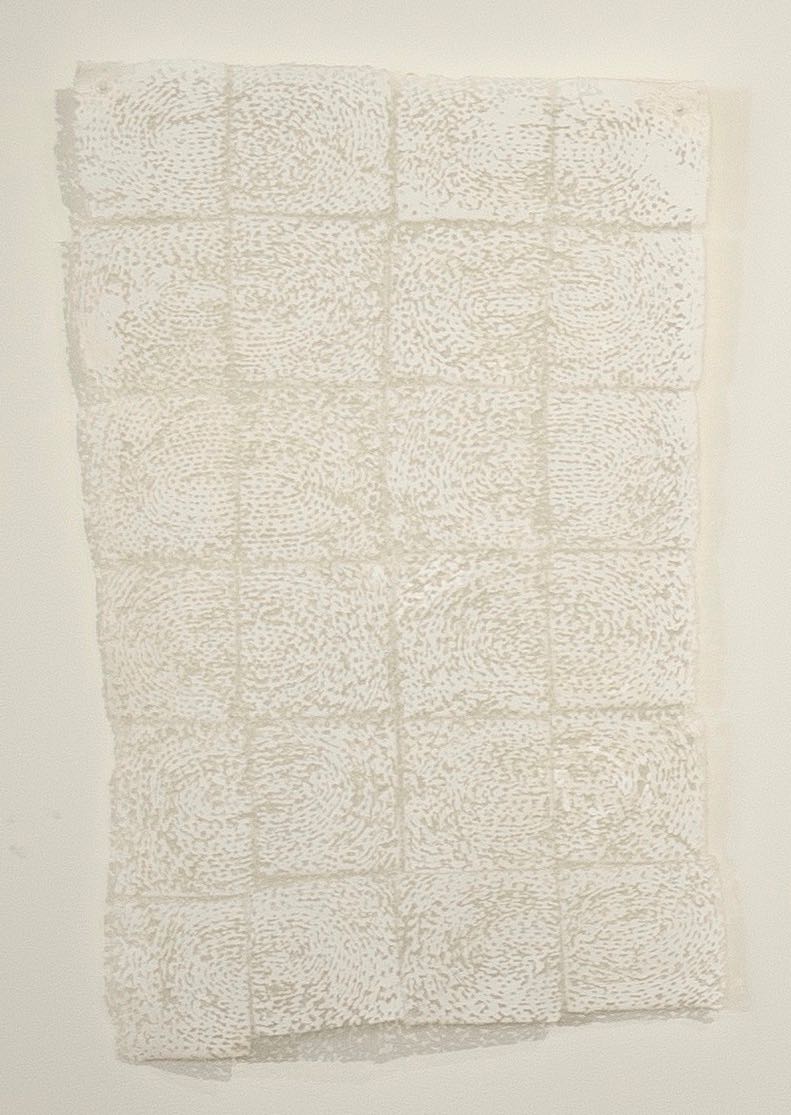   Quietly   cotton, nylon / devoré  21" x 13"  2002 