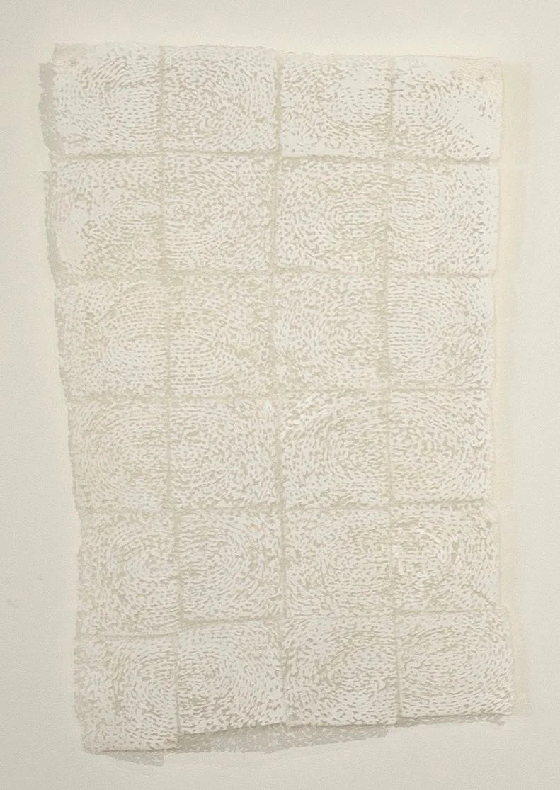 Quietly cotton, nylon / devoré 21" x 13" 2002