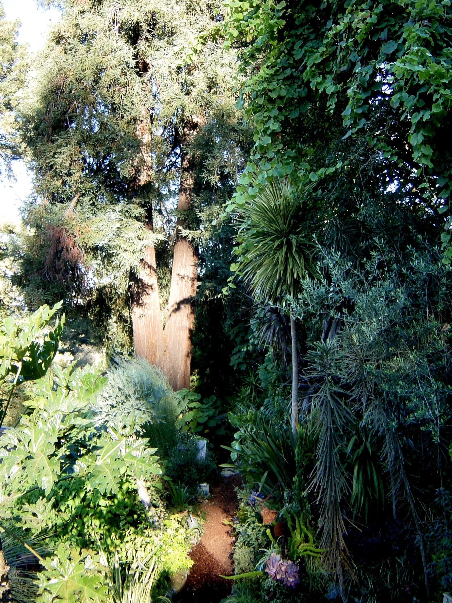 DSC01375.JPG