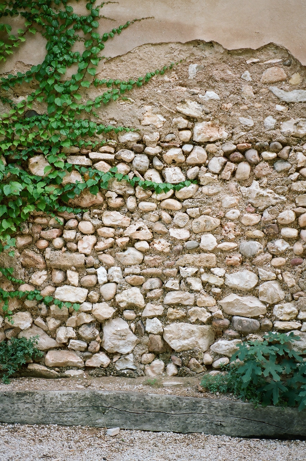 78960025.JPG