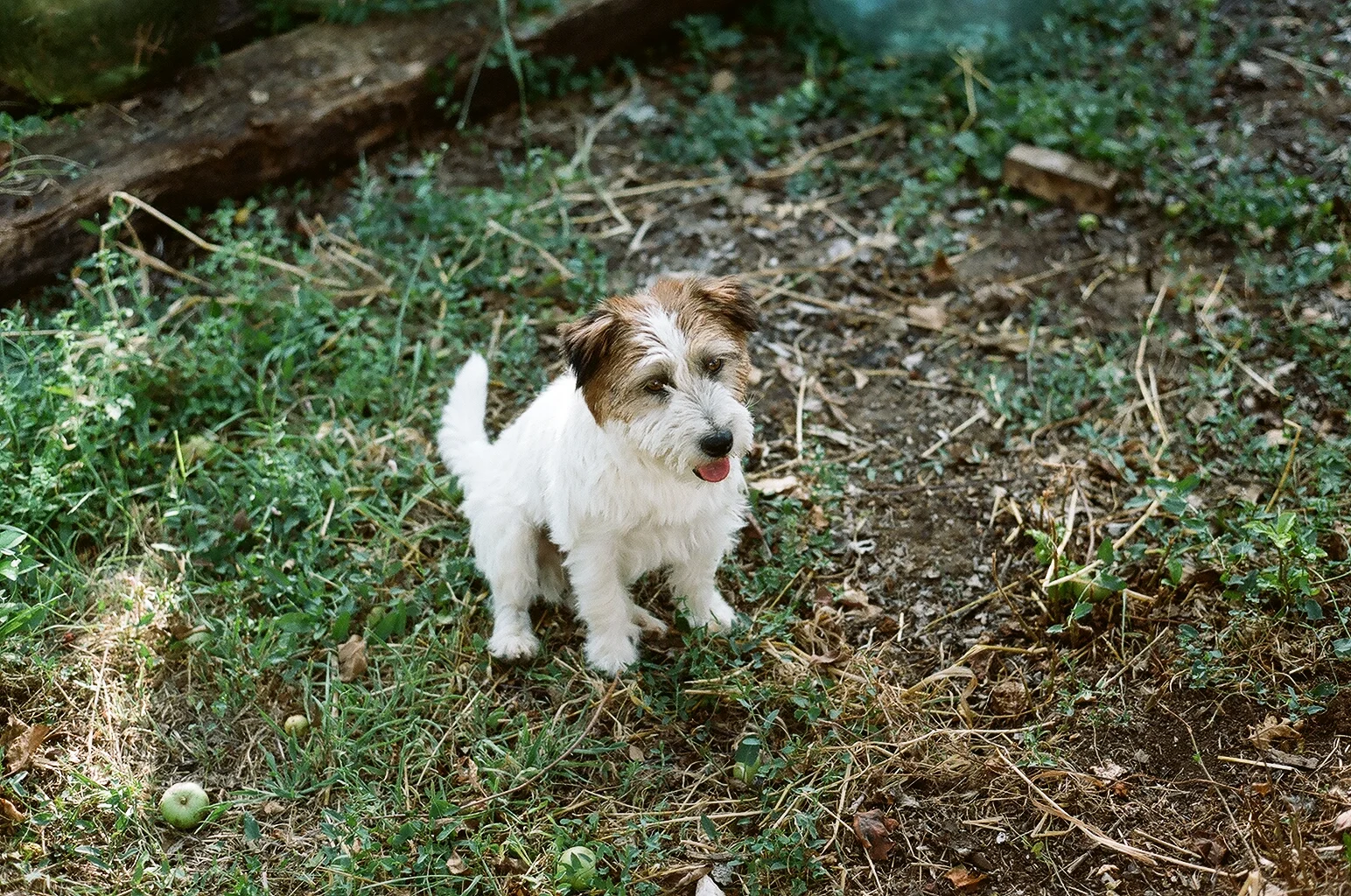 78930032.JPG