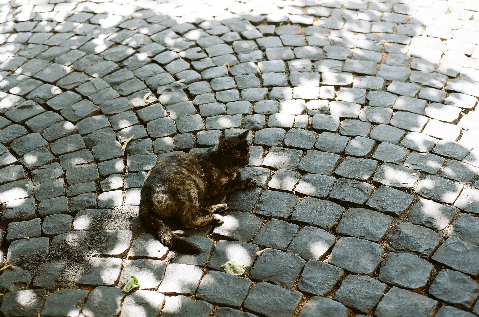 78830020.JPG