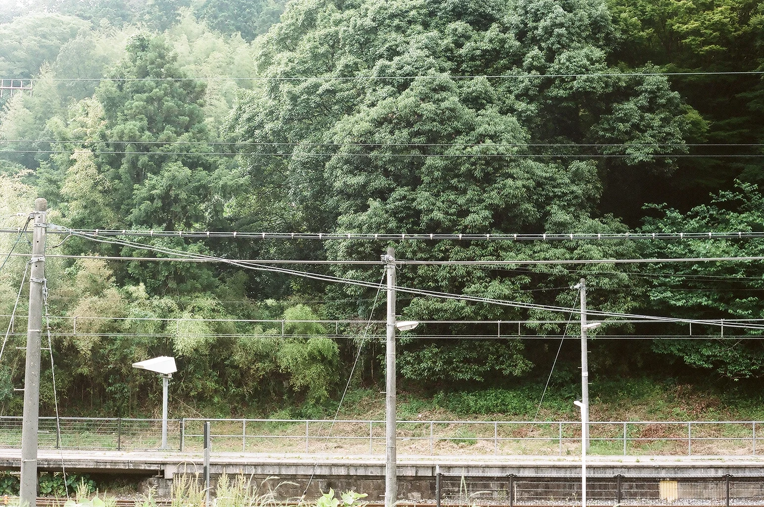 73700003.JPG