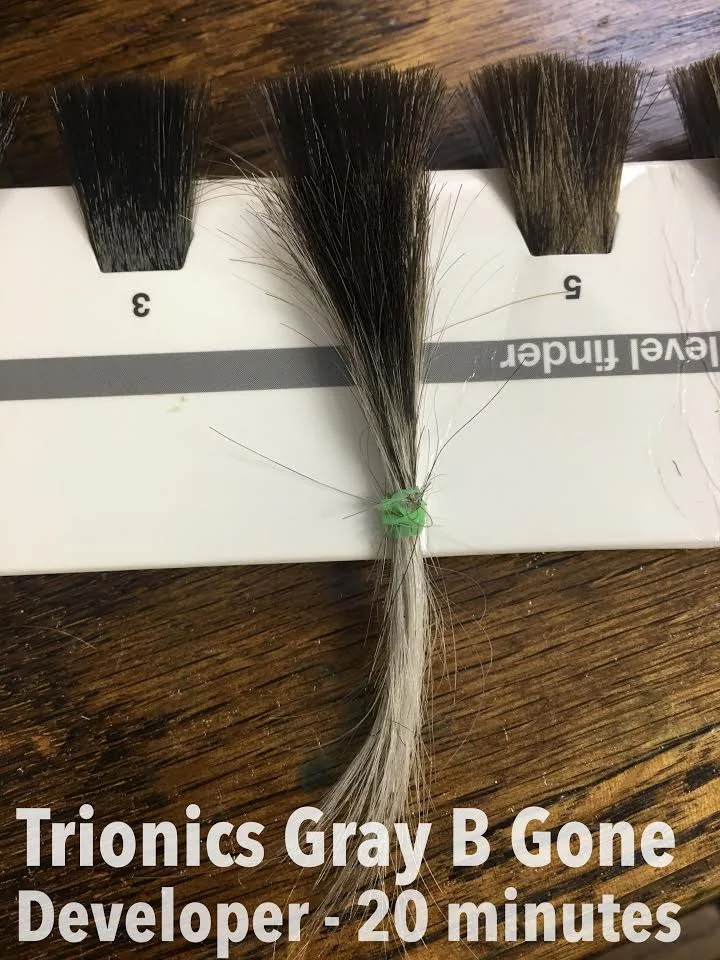 Trionics Gray B Gone developer with Pravana 4N, on 100% white/gray hair, processed 20 minutes under warm dryer.