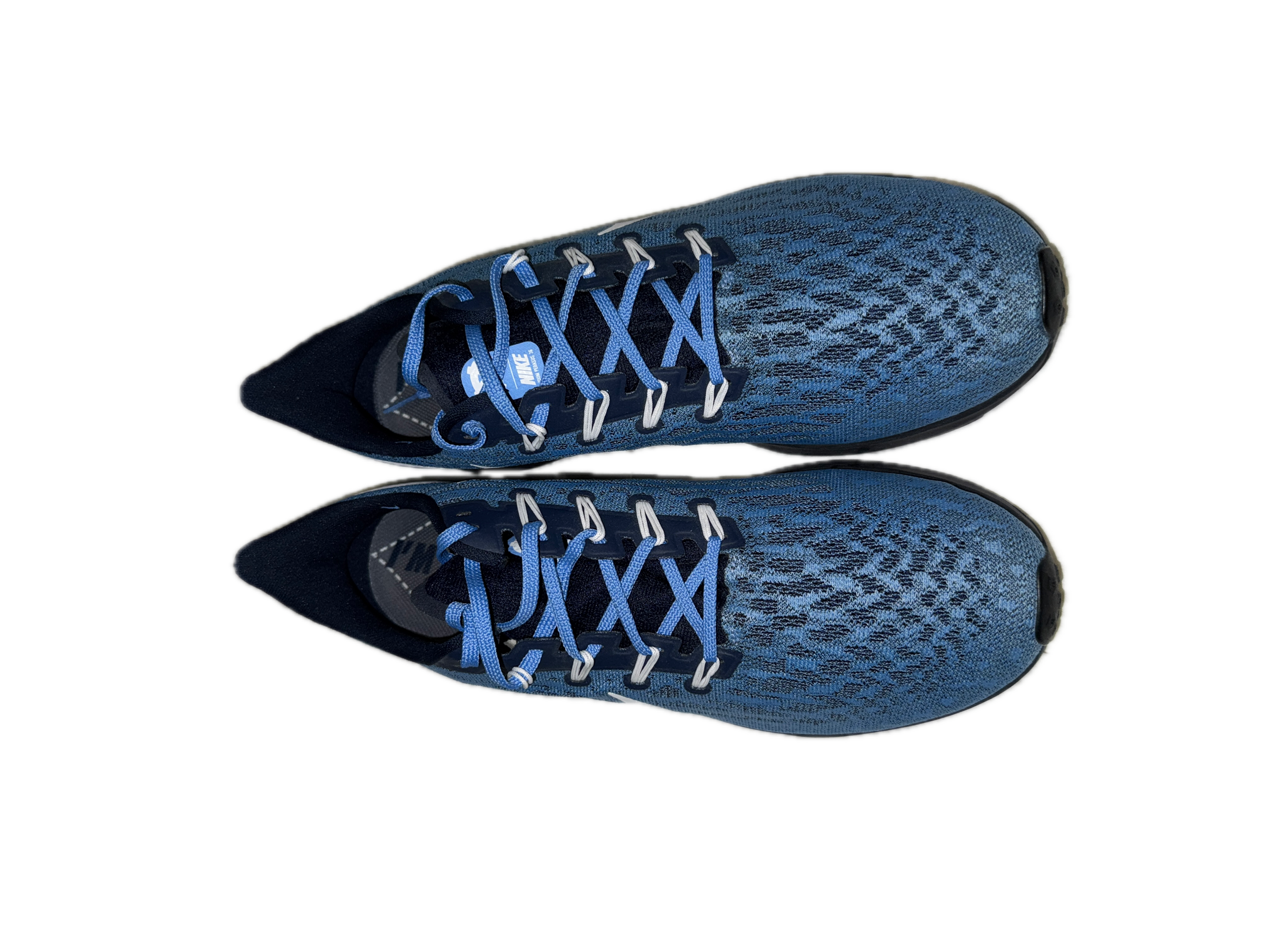 IMG_4466 Background Removed.png