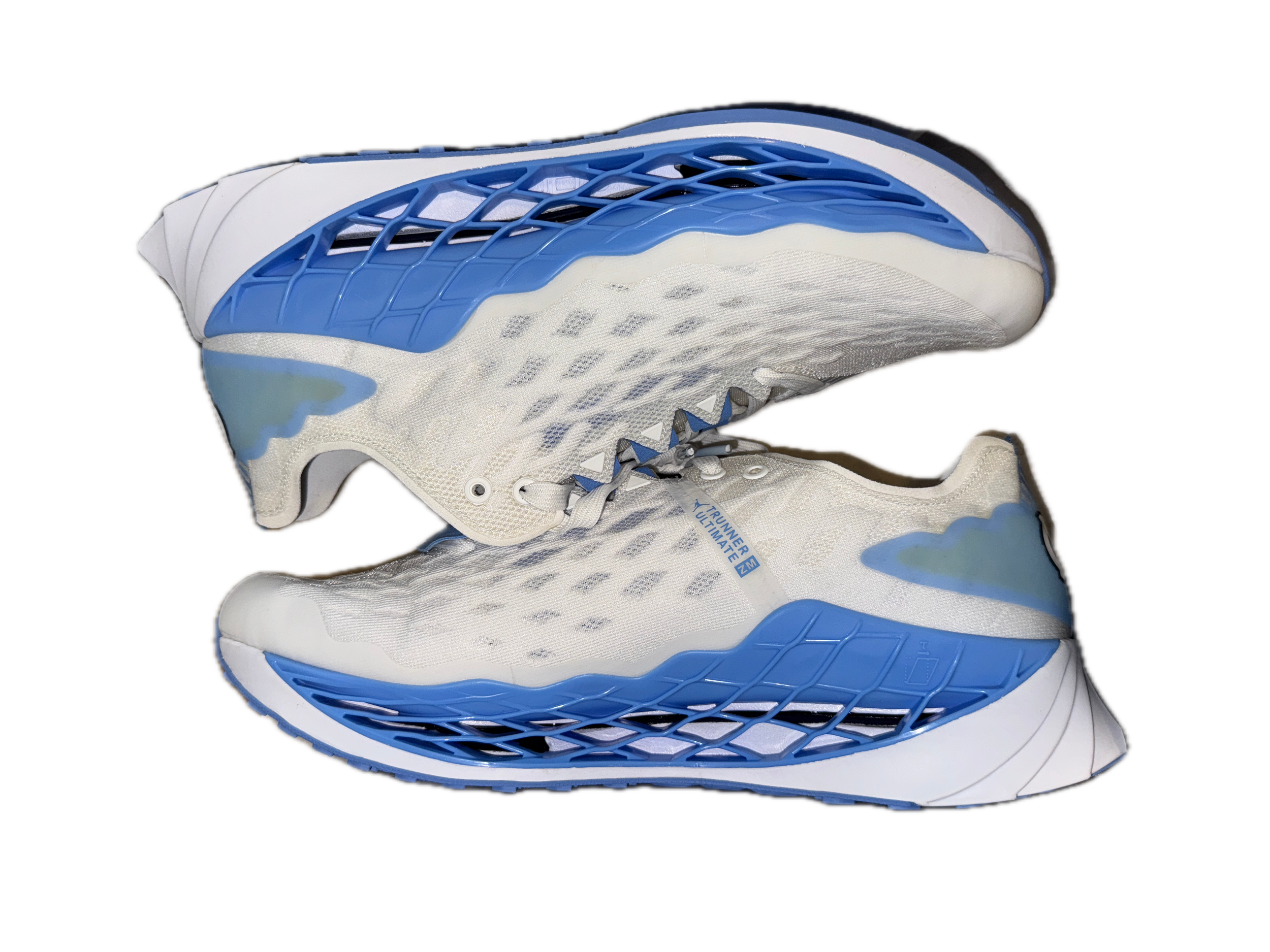 IMG_4560 Background Removed.png