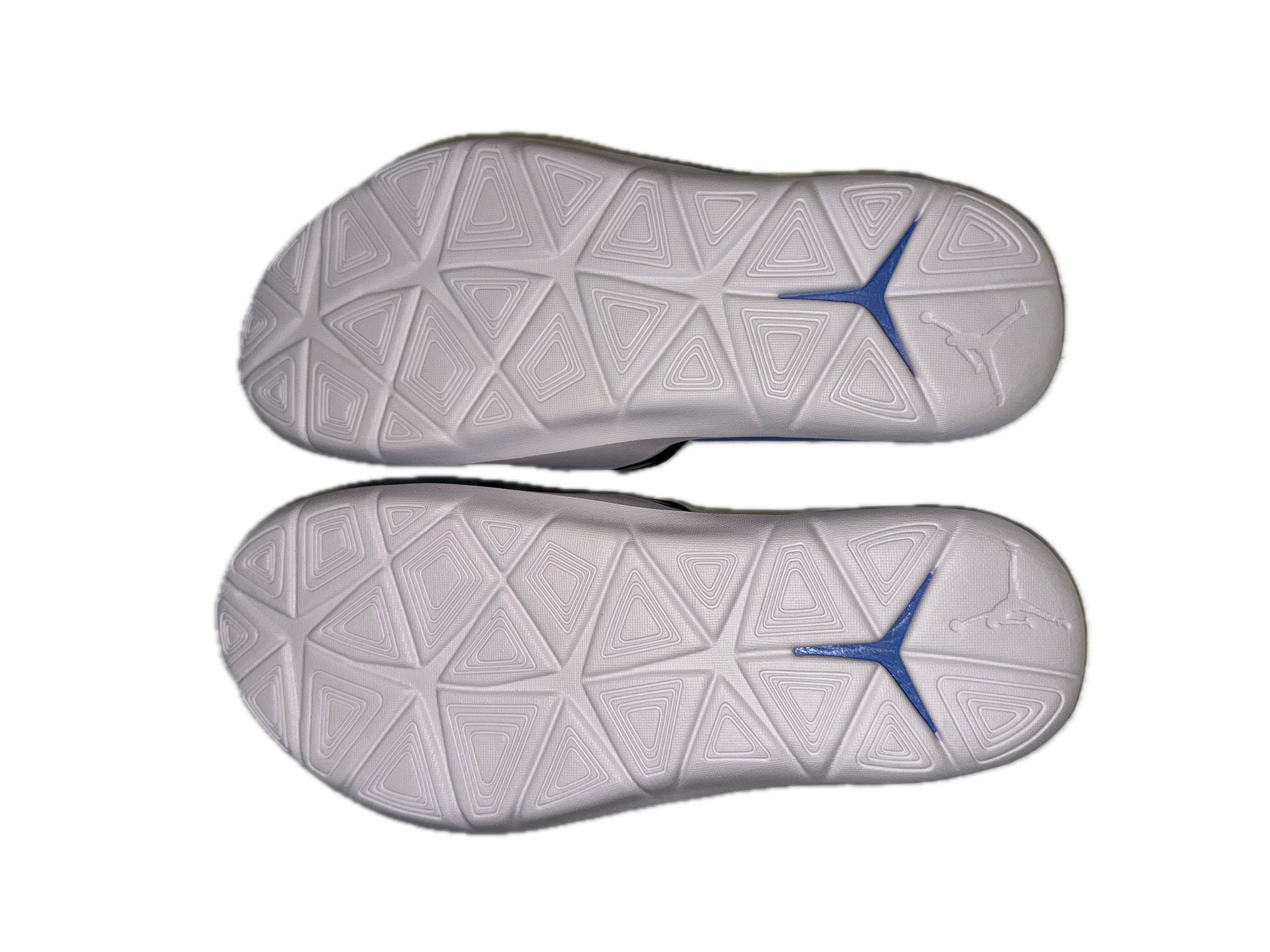 IMG_4470 Background Removed.png