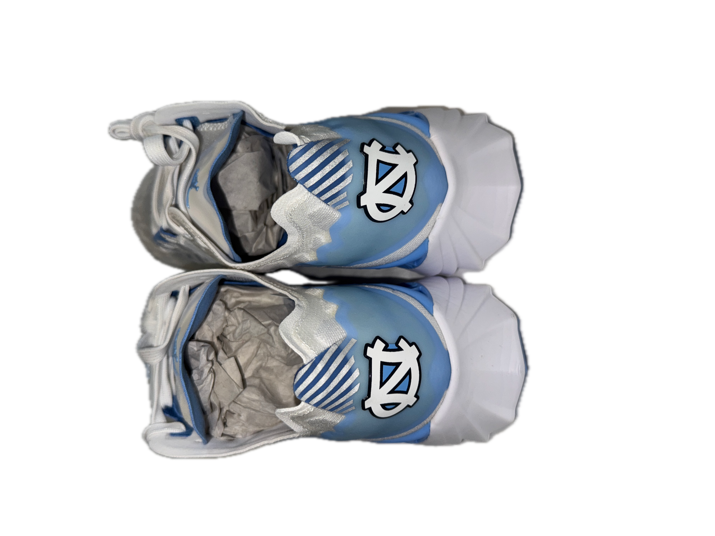 IMG_4563 Background Removed.png