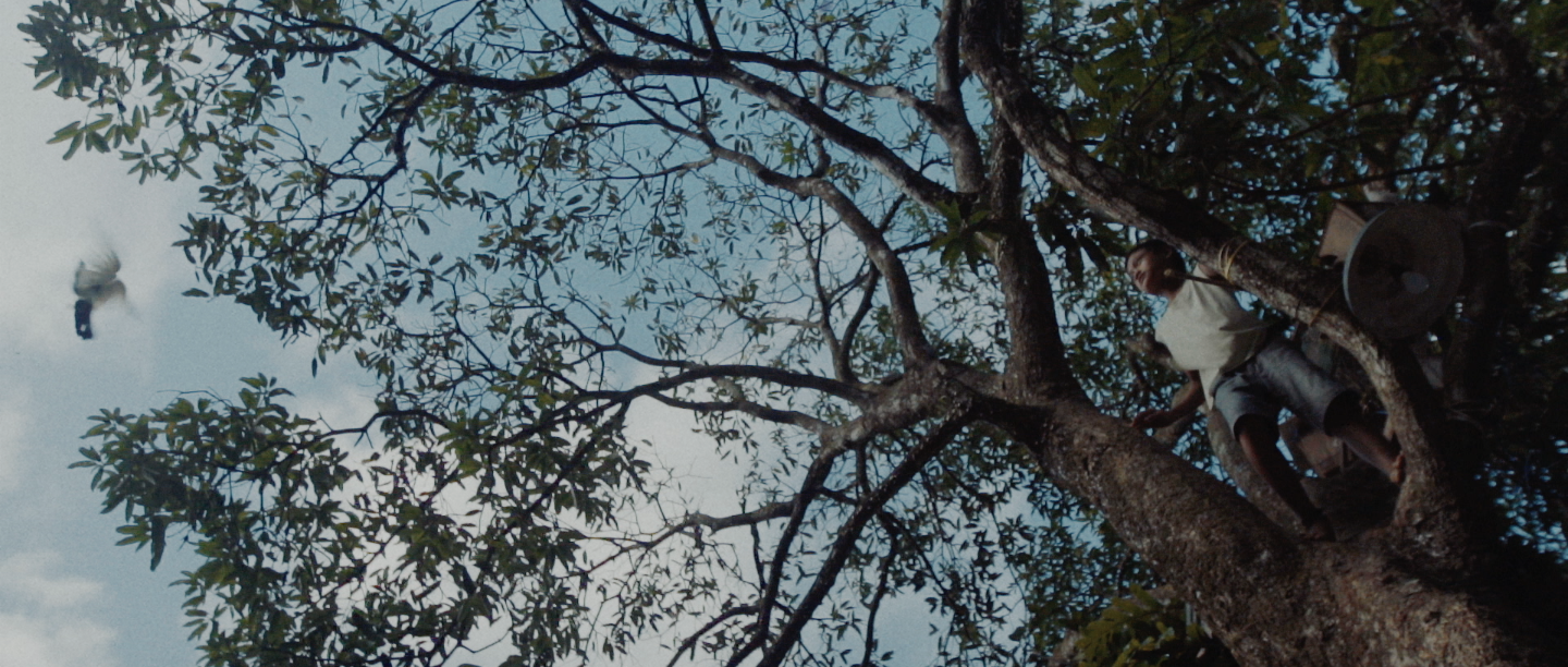 Screen Shot 2016-12-23 at 9.06.11 PM.png