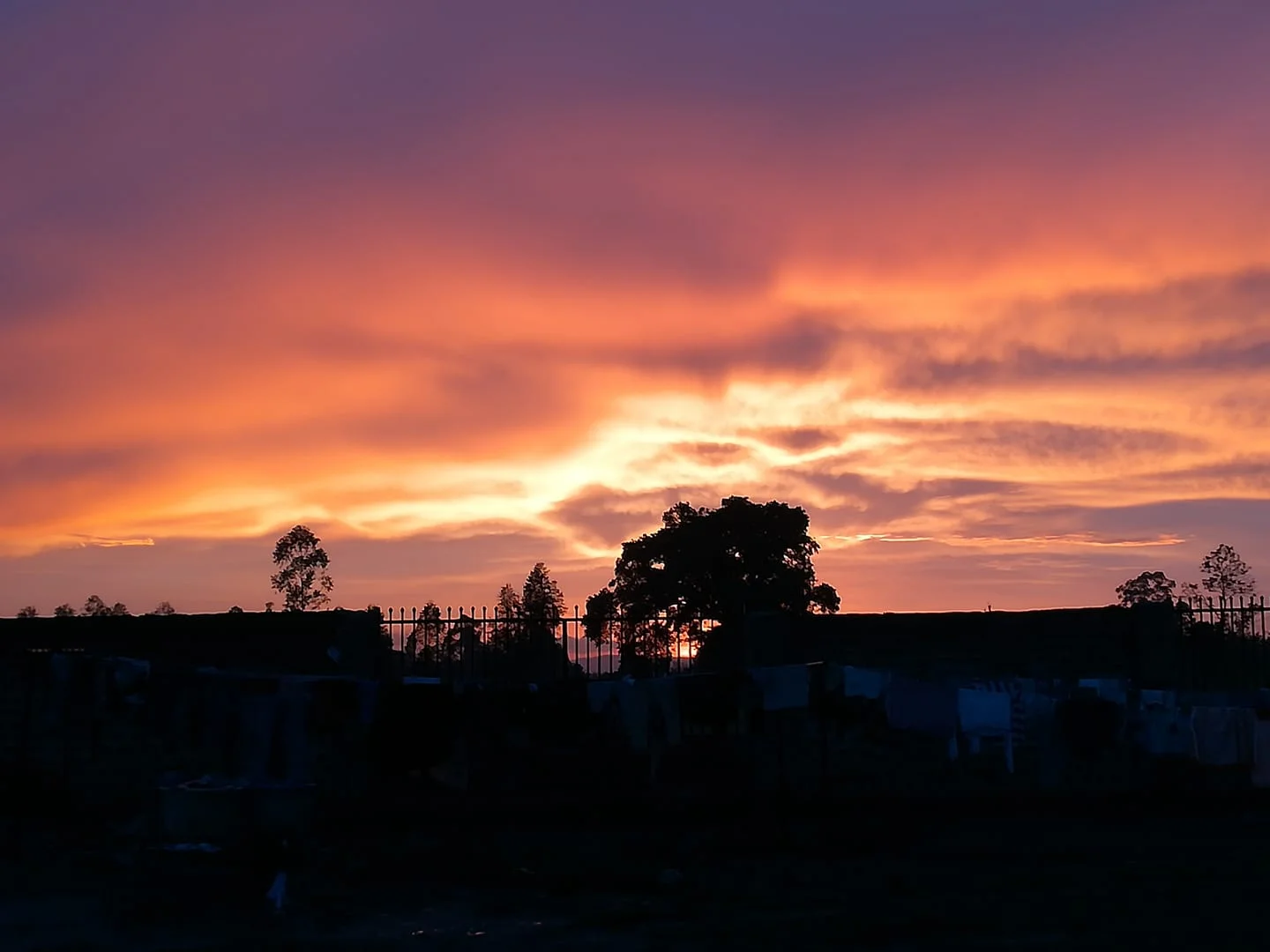 sunset.jpg