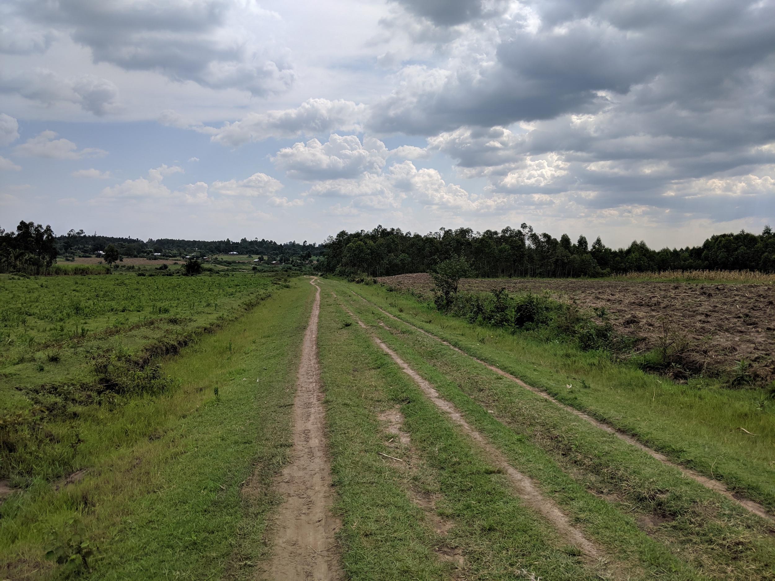 processed_IMG_20190824_154229.jpg