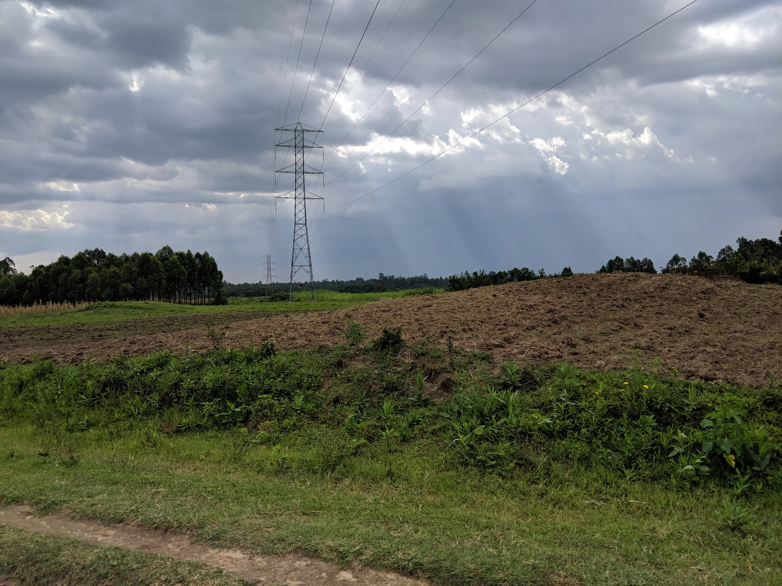 processed_IMG_20190824_154222.jpg