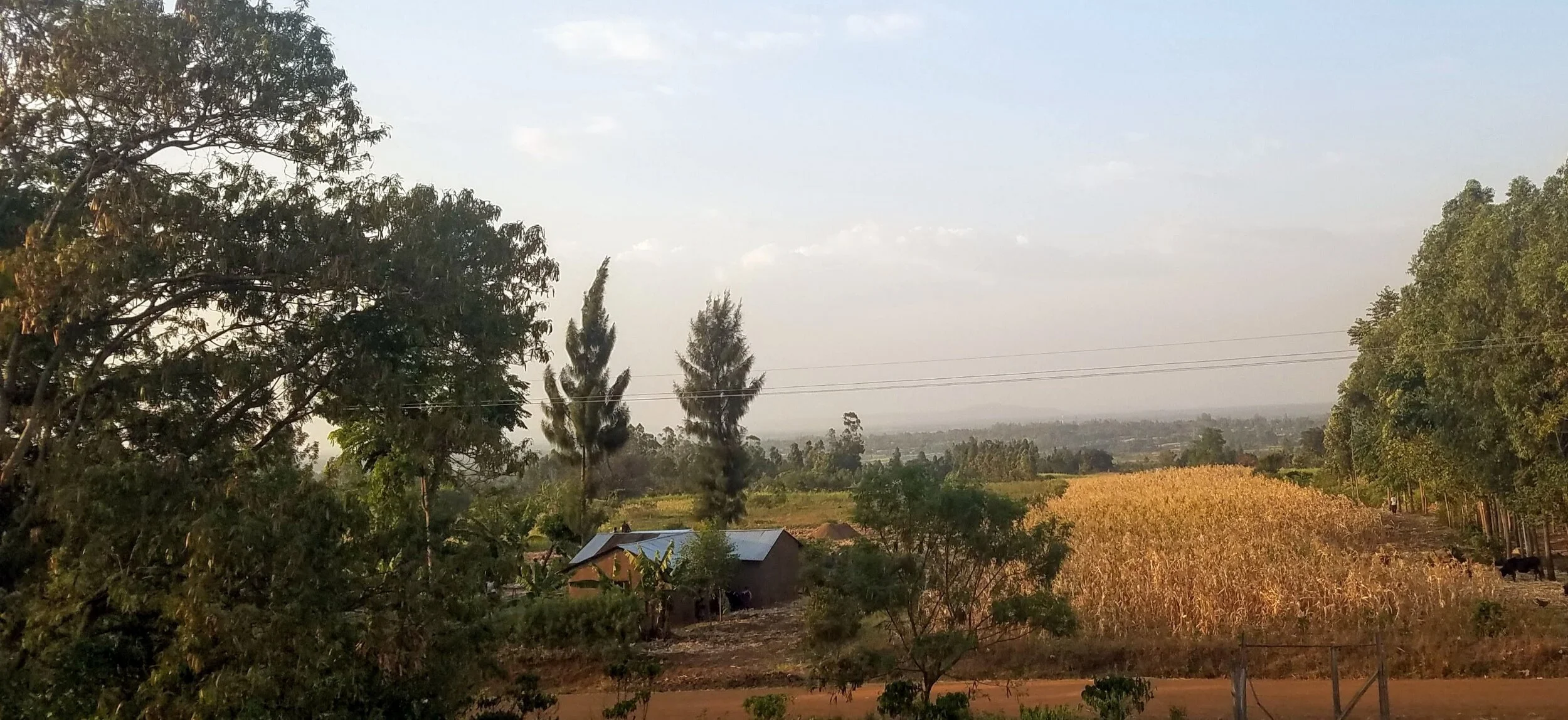 The house to the left of the picture is where Mercy Christian Academy is now, which we didn't own when this picture was taken. The corn field on the right is where the playground is which we were able to purchase in December 2020.