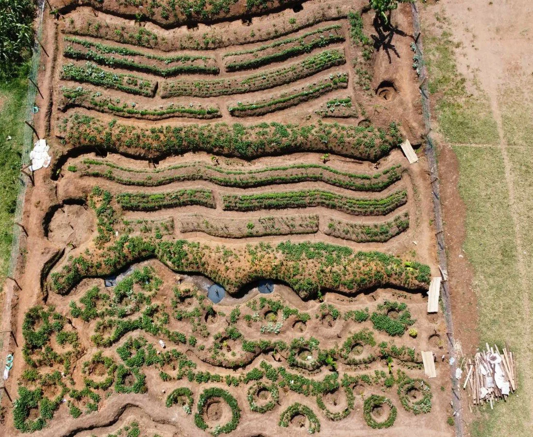 An overhead view of part of Kijiji Garden.
