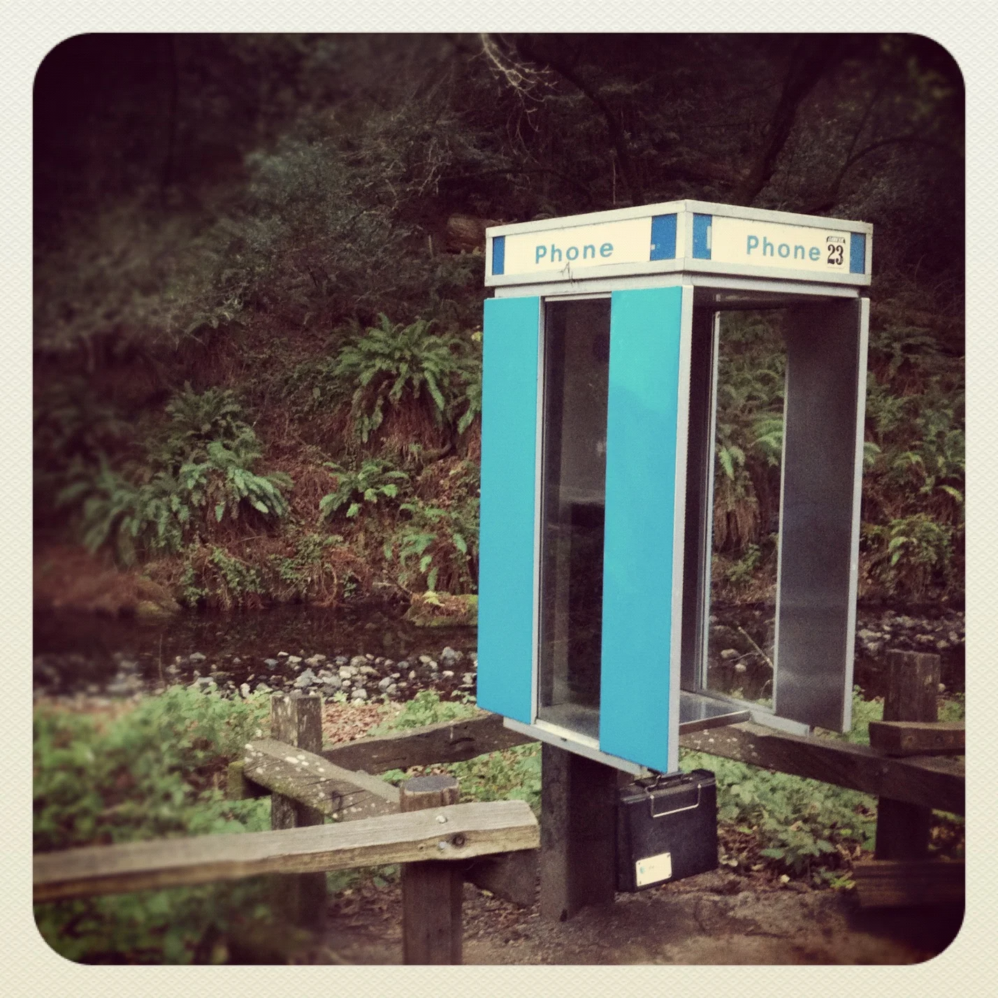 IMG_5553.JPG