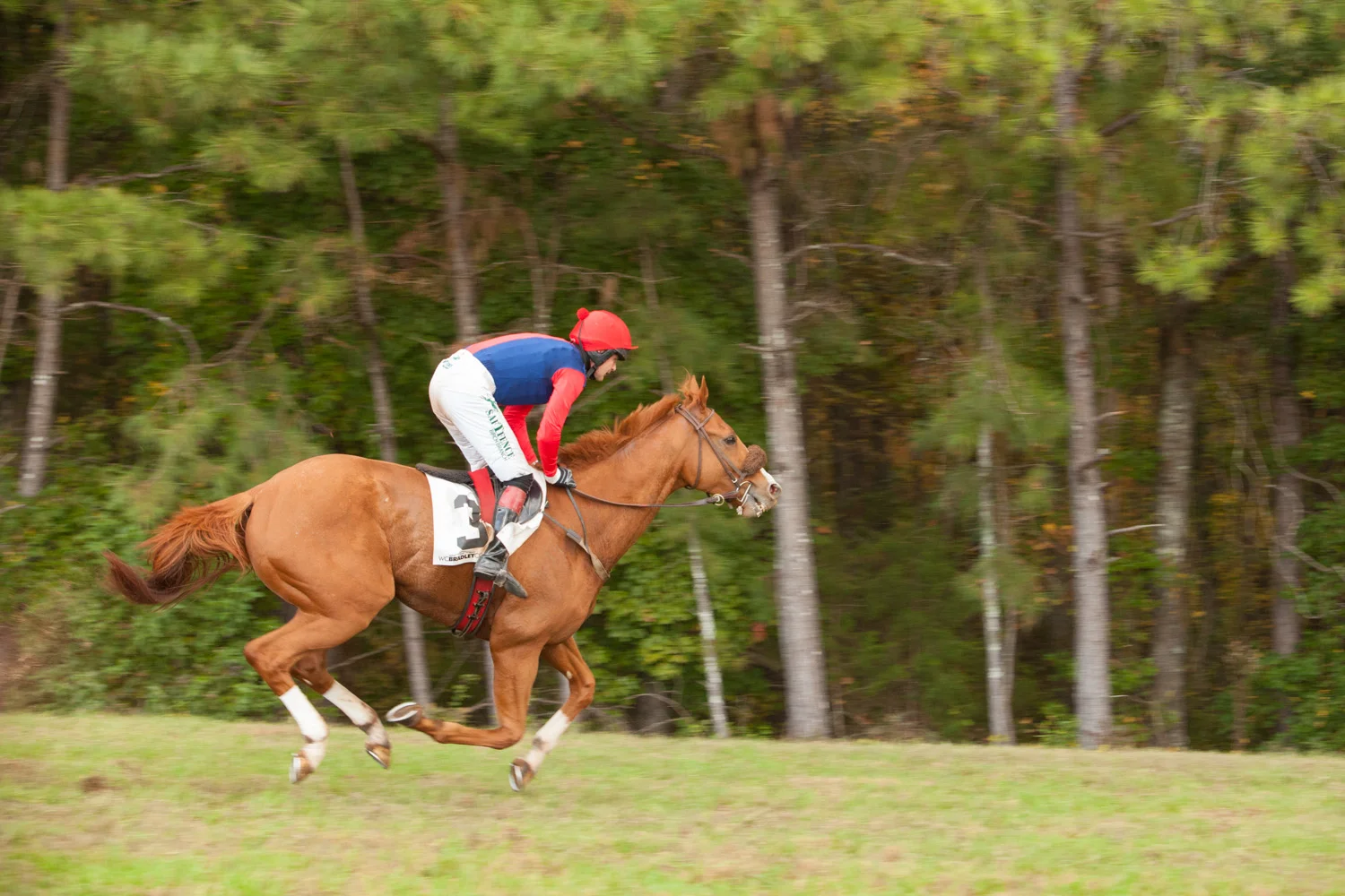 _MG_9750.jpg