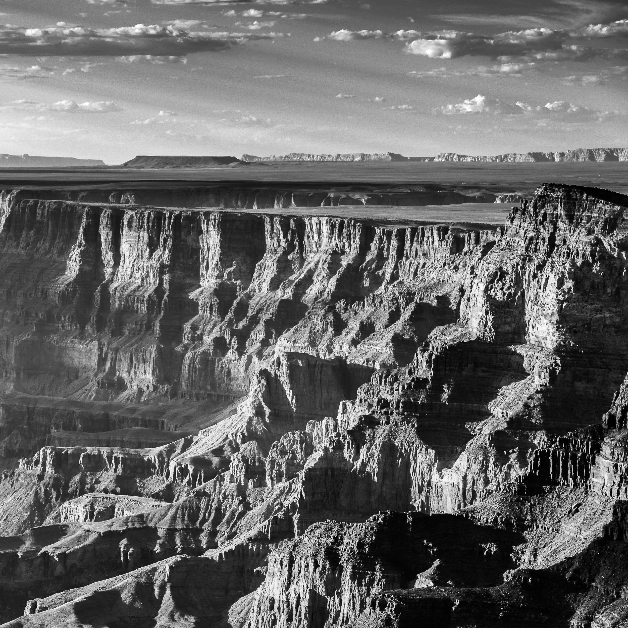 Canyon - Cover Art.jpg