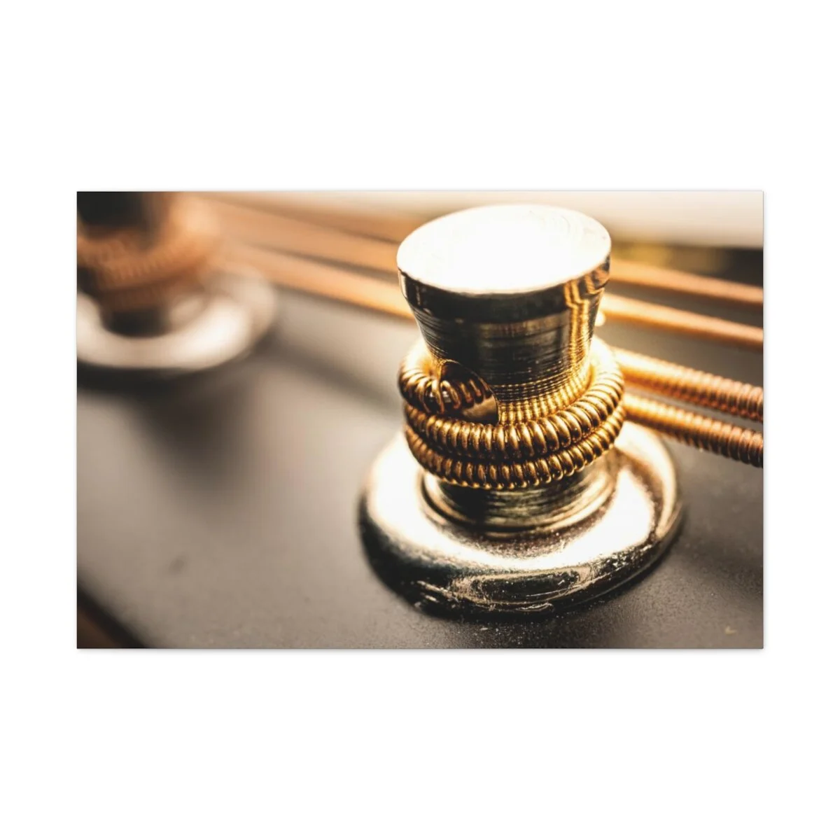 aa2a93cf5d7440c14517b1f3443fba2f