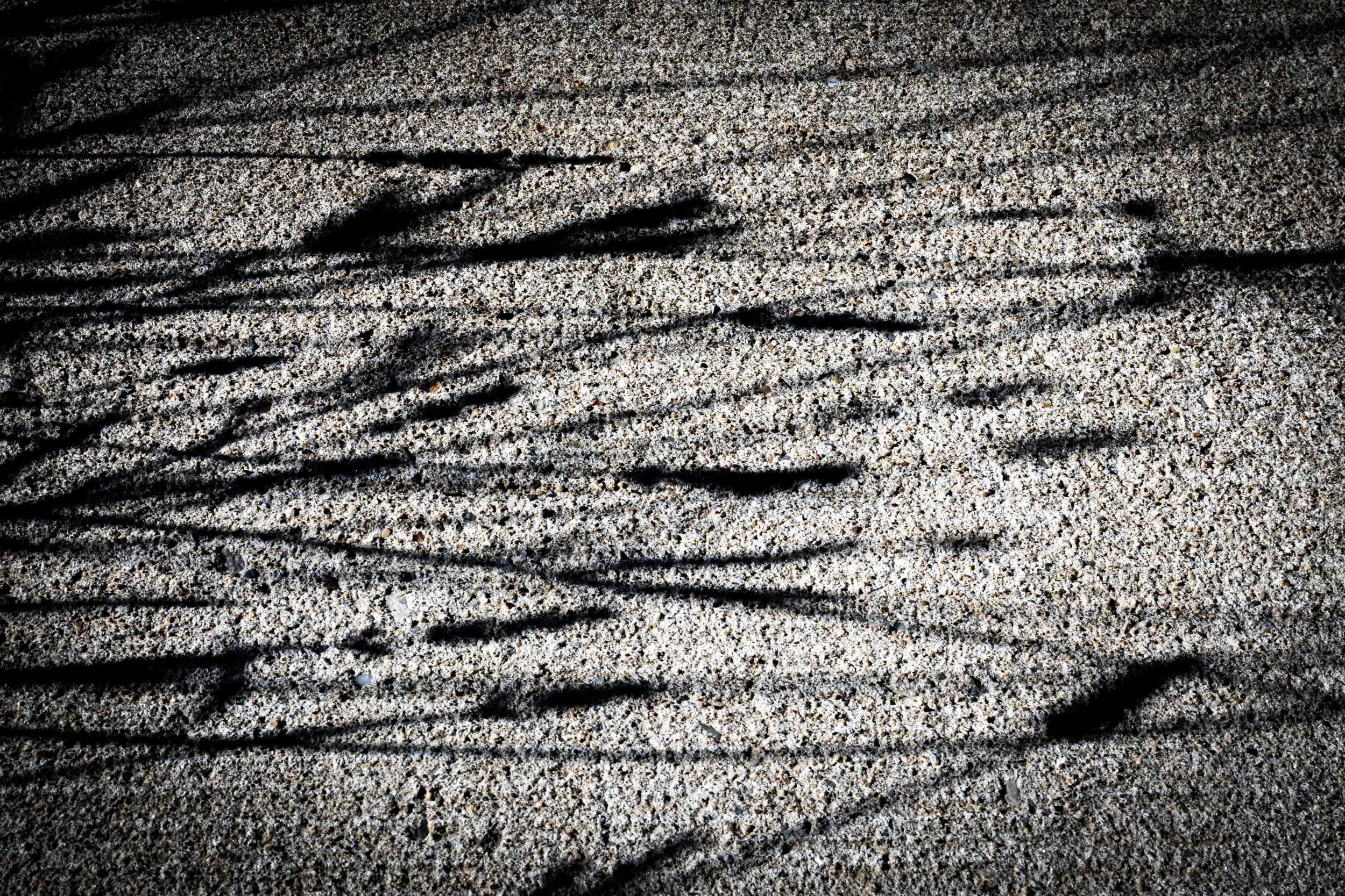 FitD Banner - LoRes.jpg