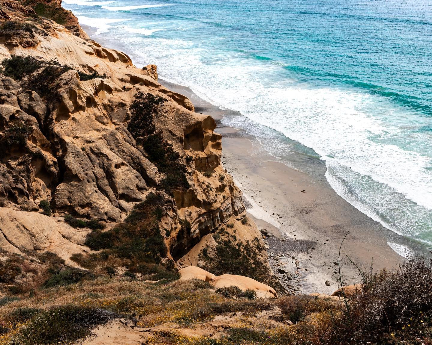 After having an incredible weekend in LA for Sync Up 2023, I headed down to San Diego for a small vacation and loved every minute of it! Two of my goals were to find great coffee roasters and beautiful scenery to photograph and I&rsquo;m happy to rep