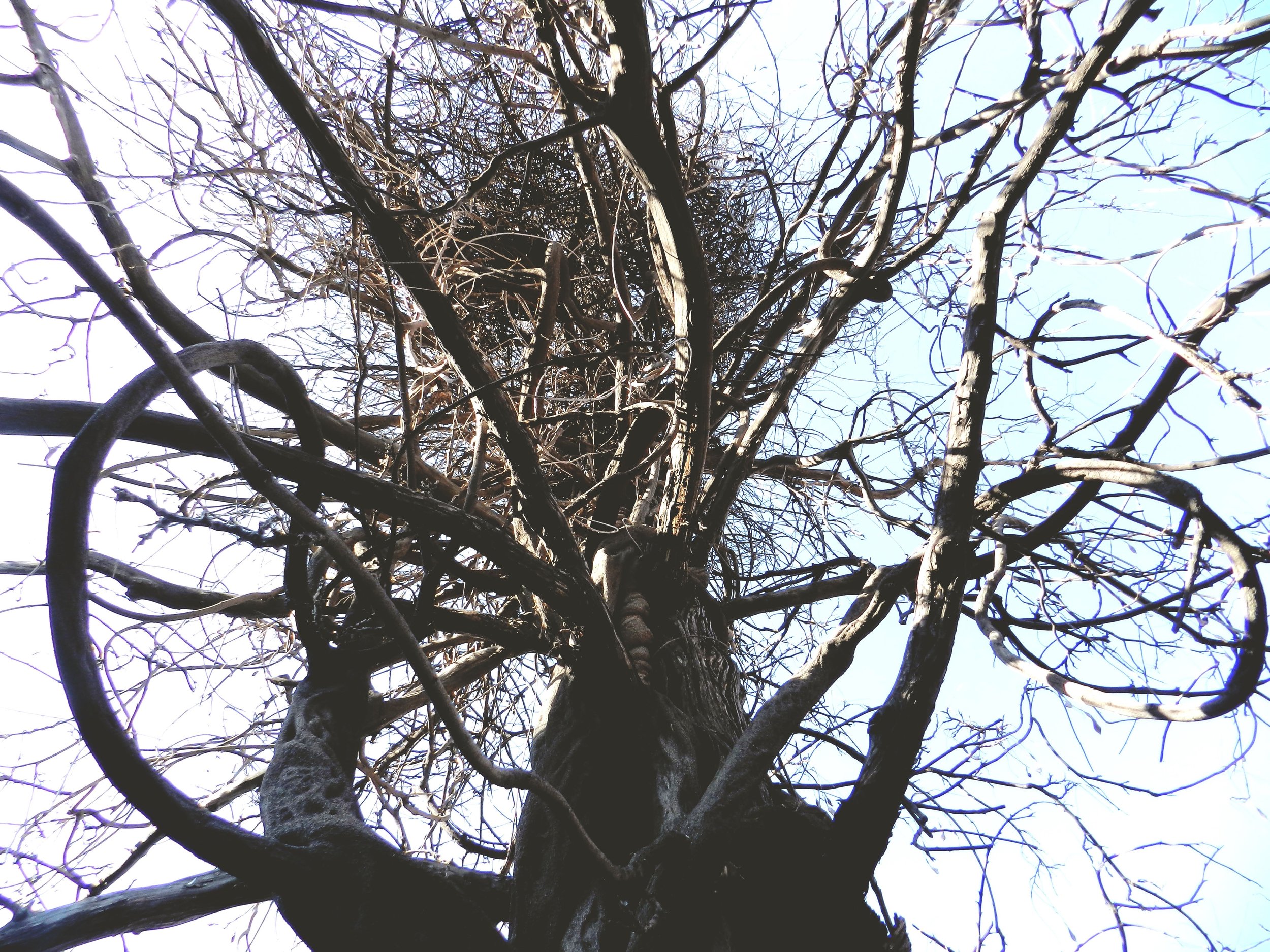 DSCN2673.jpg
