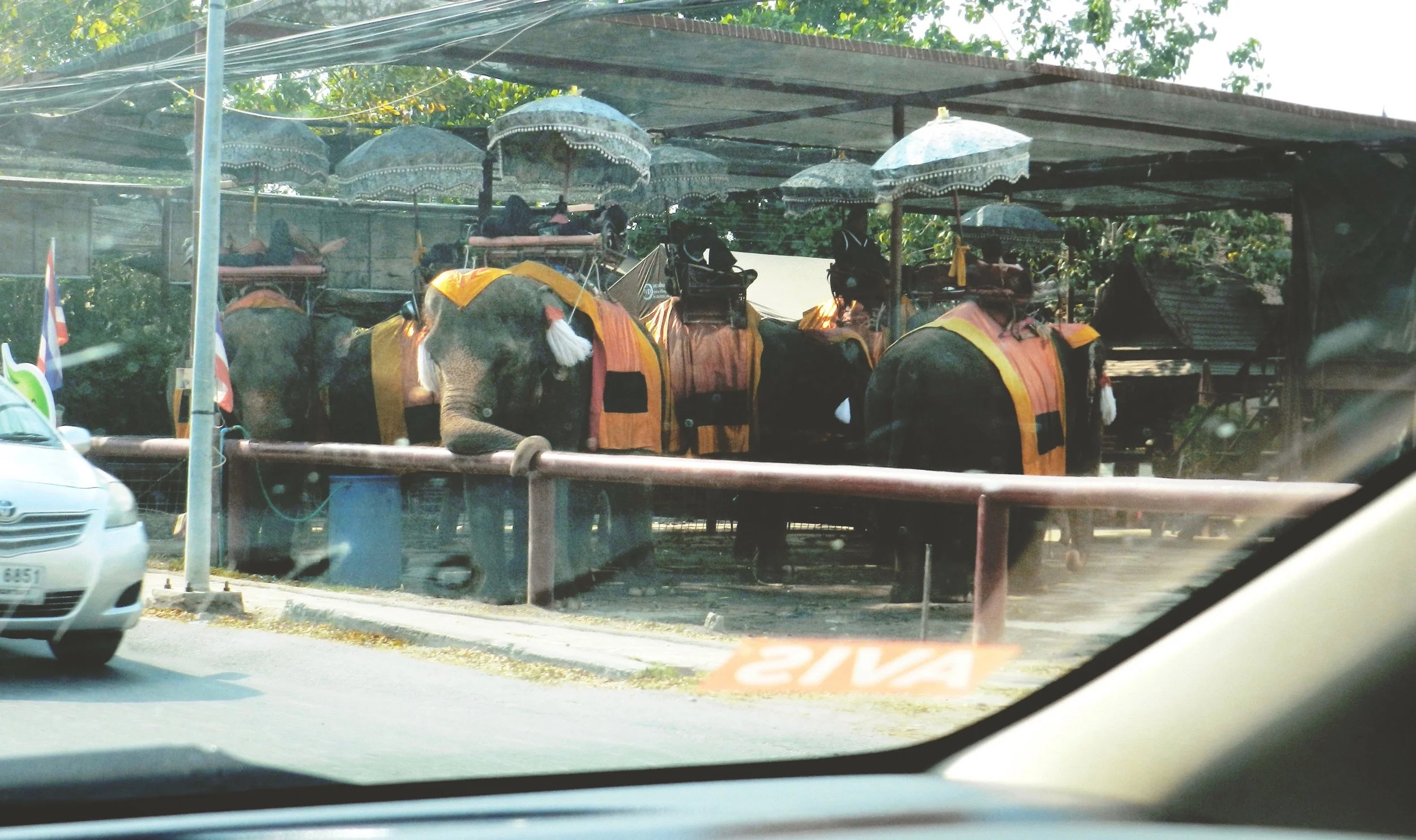 Including some nice, non-stressful things we saw from the car, since no photos were taken during this particular story. This one is from Ayutthaya.