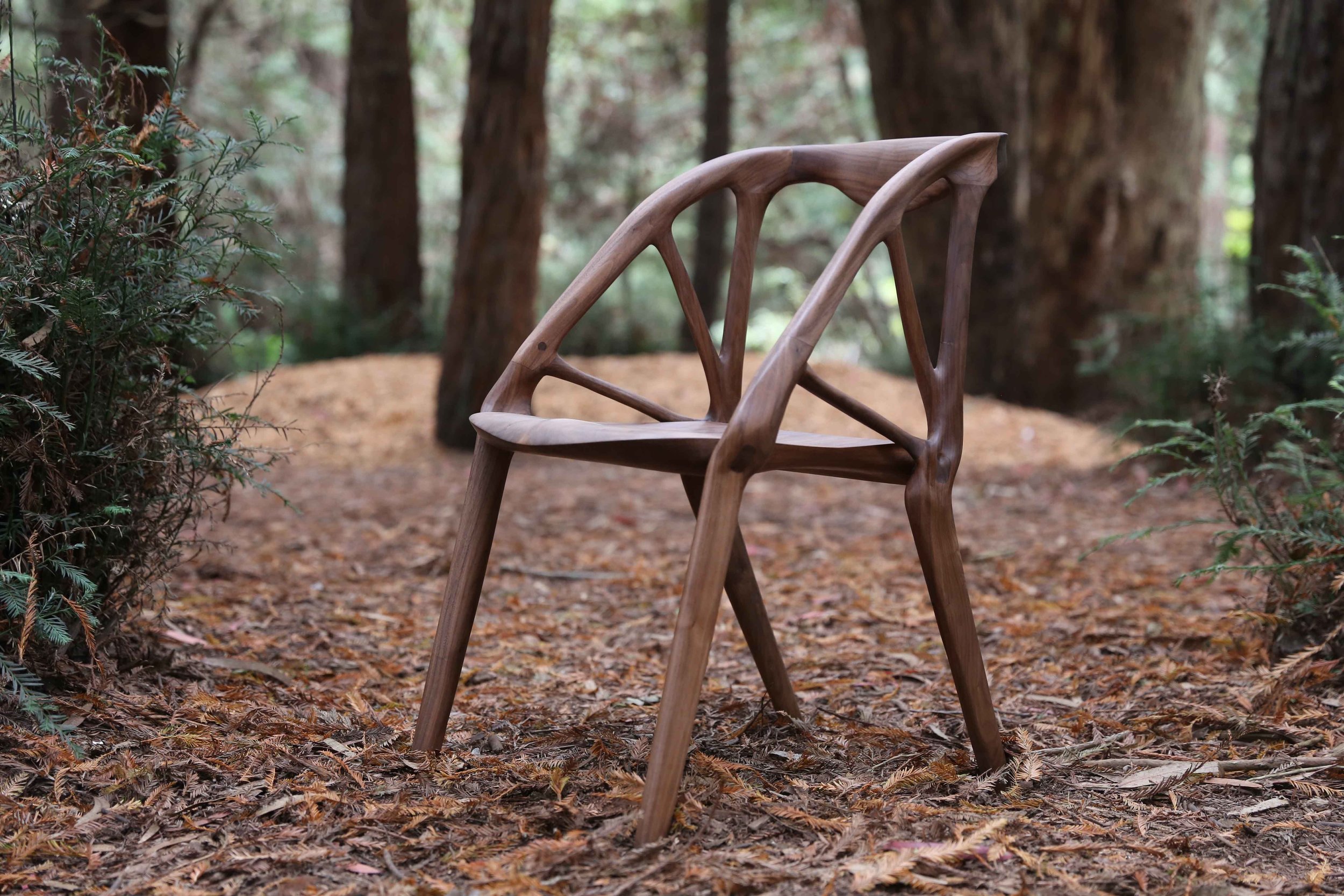 elboChair.jpeg
