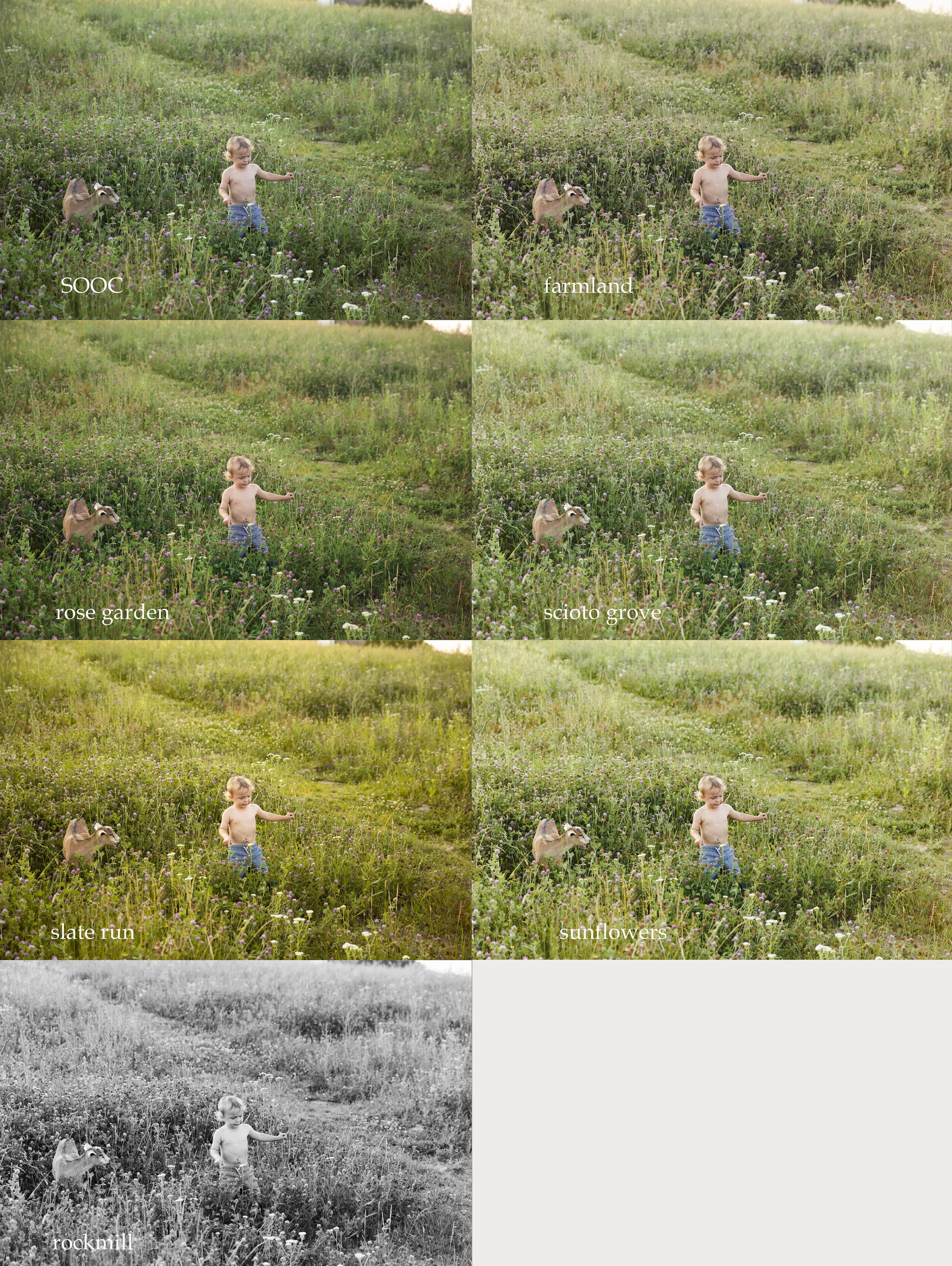 The Midwest Presets for Lightroom and ACR