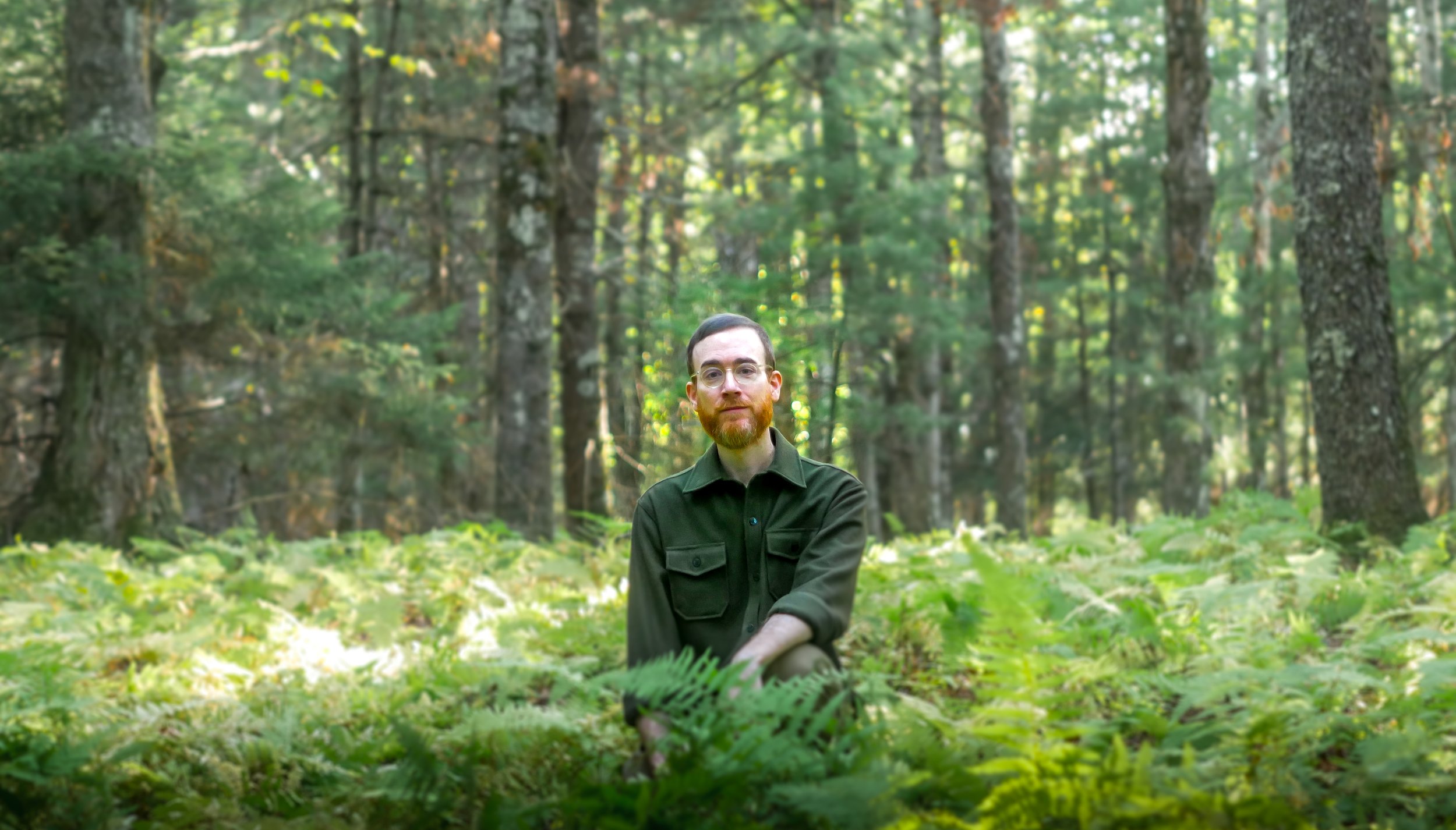 Nick Werber kneeling among ferns in a forest