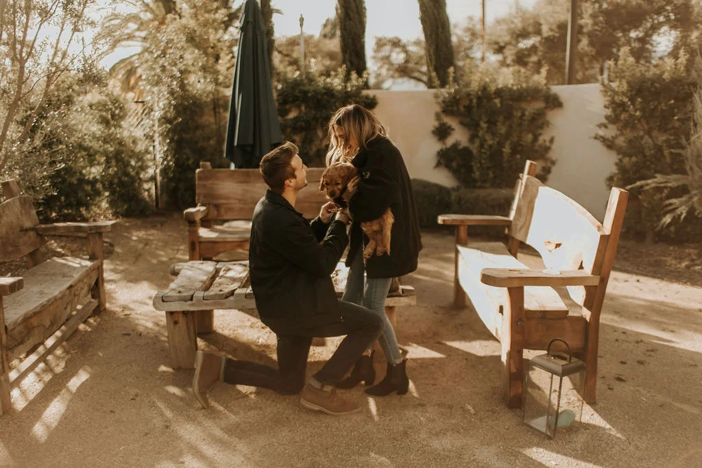 surprise proposal with labradoodle puppy_6376.jpg