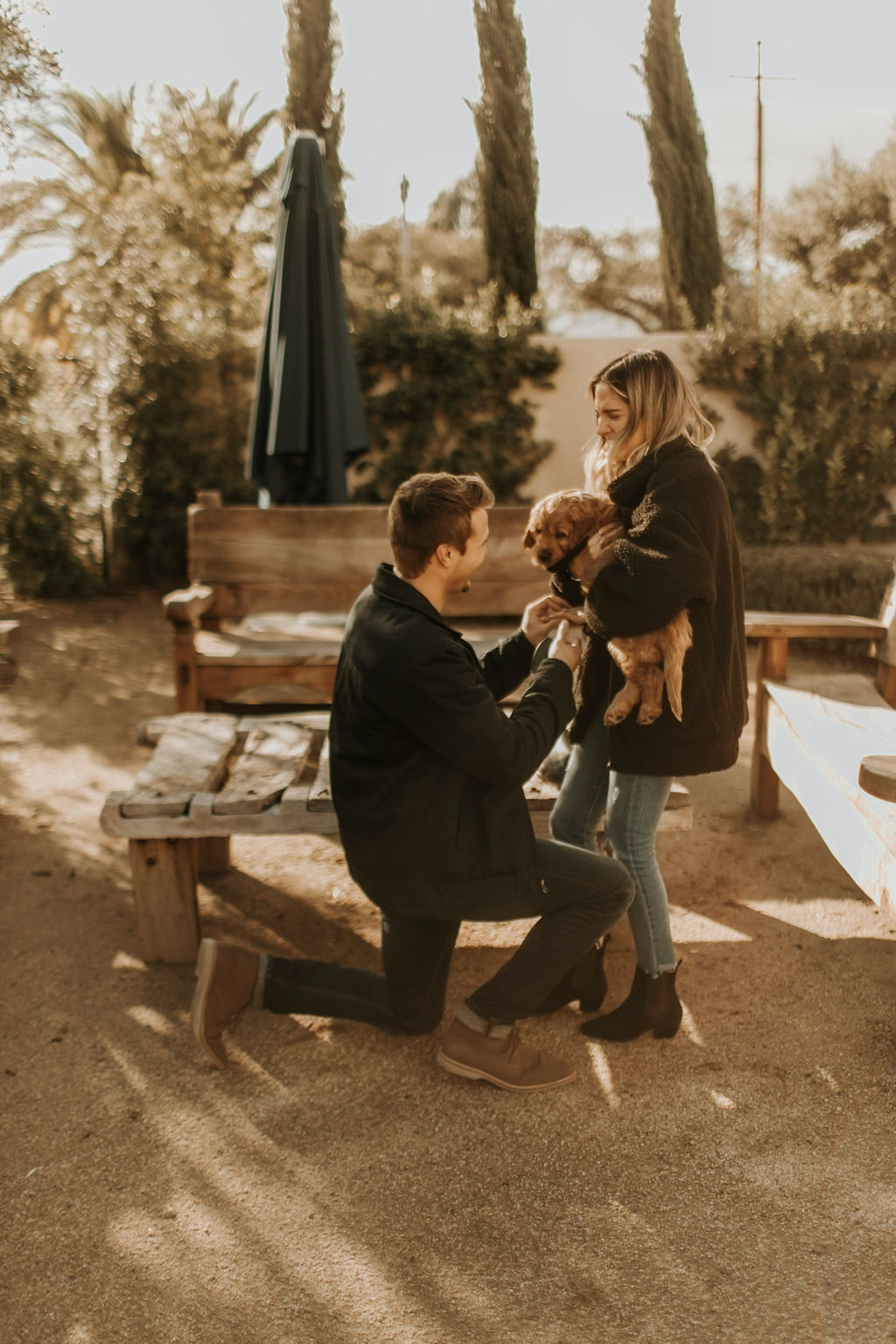 surprise proposal with labradoodle puppy_6377.jpg