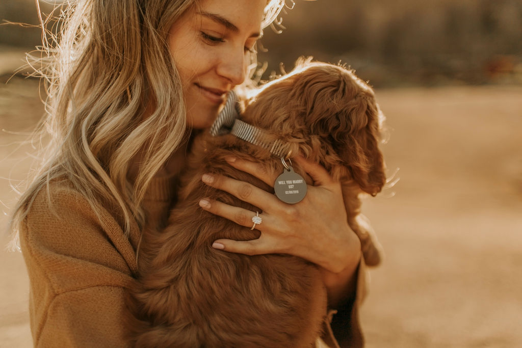 surprise proposal with labradoodle puppy_6721.jpg