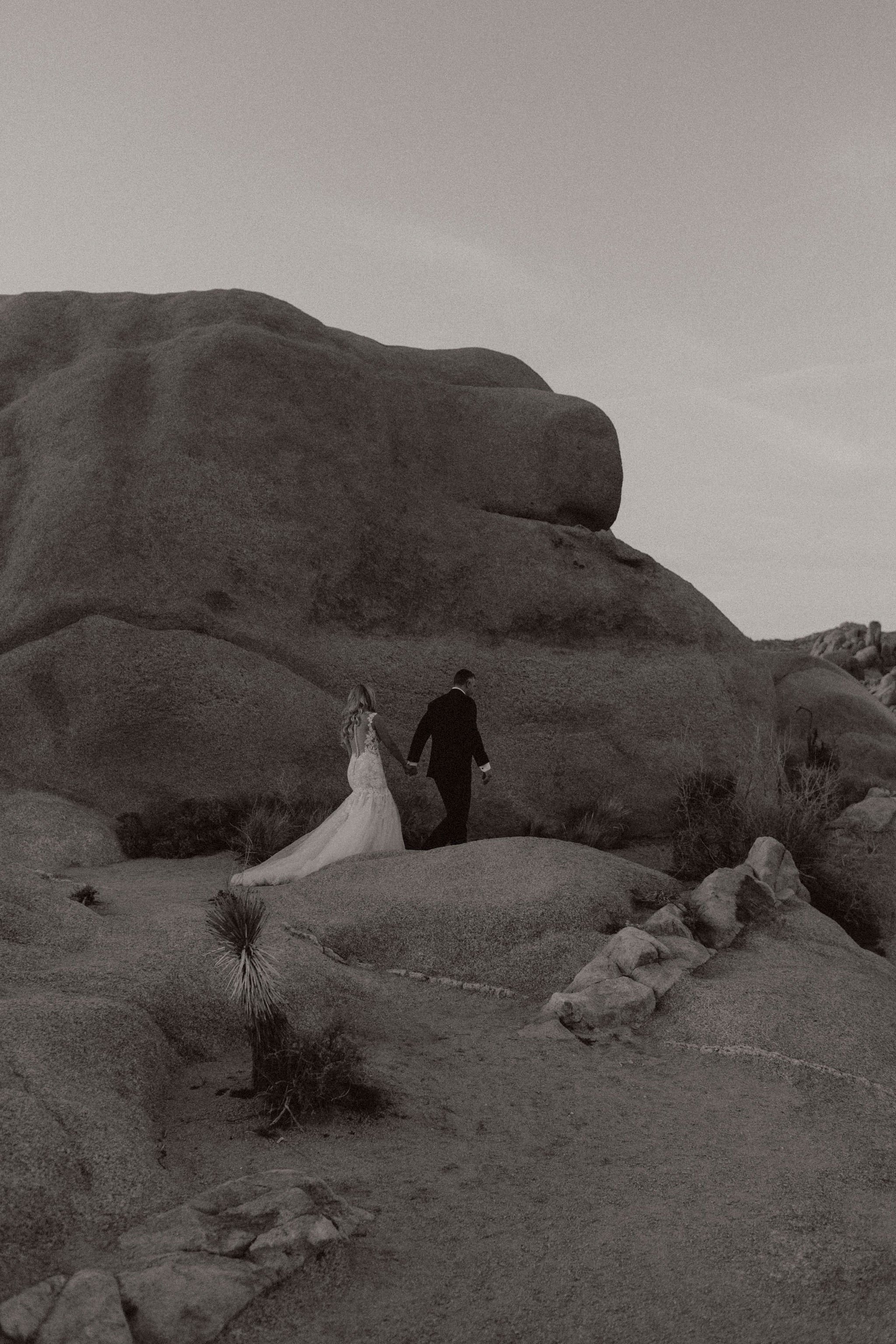 joshuatreewedding73.jpg