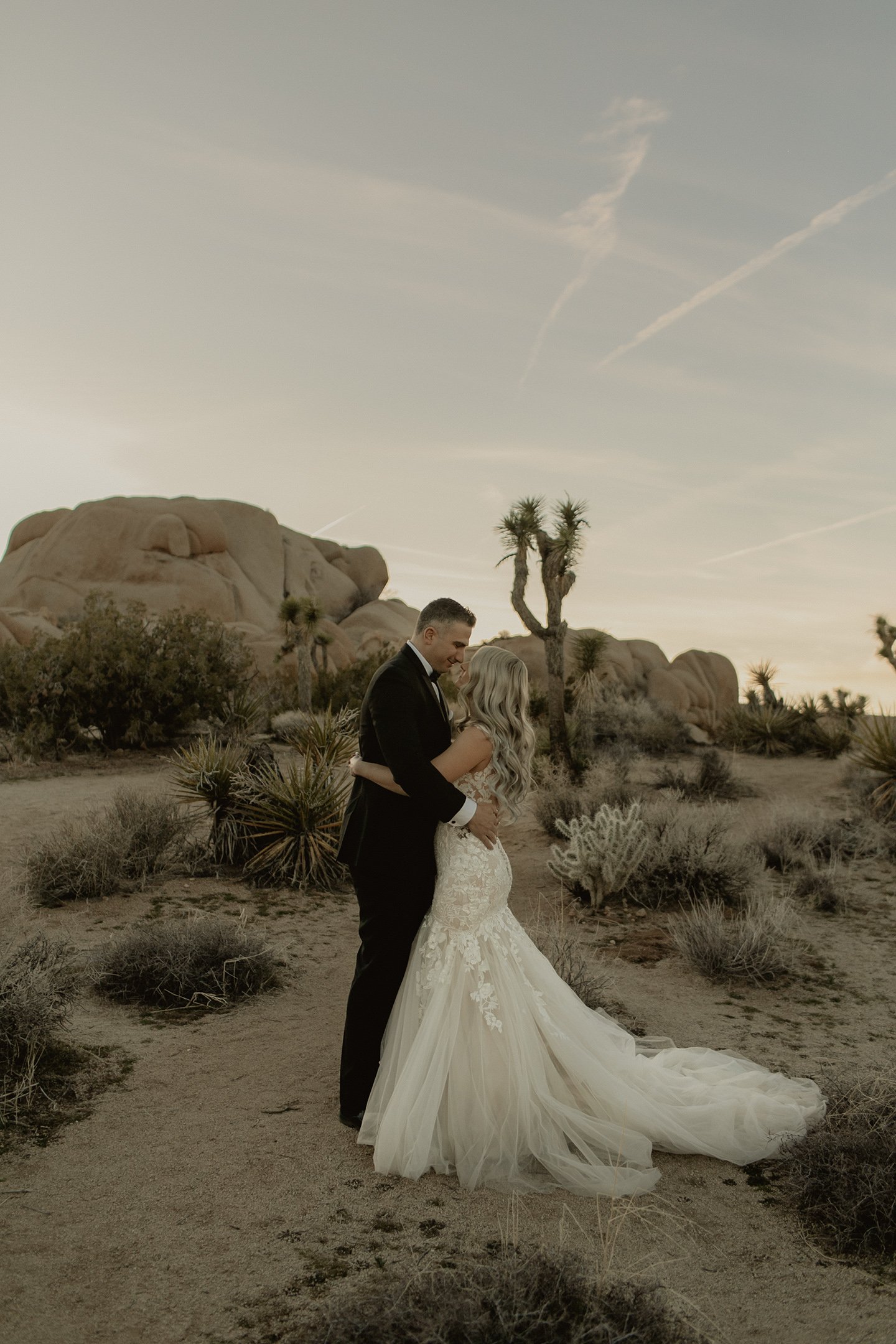 ranucci photography - joshua tree elopement photographer 12.jpg