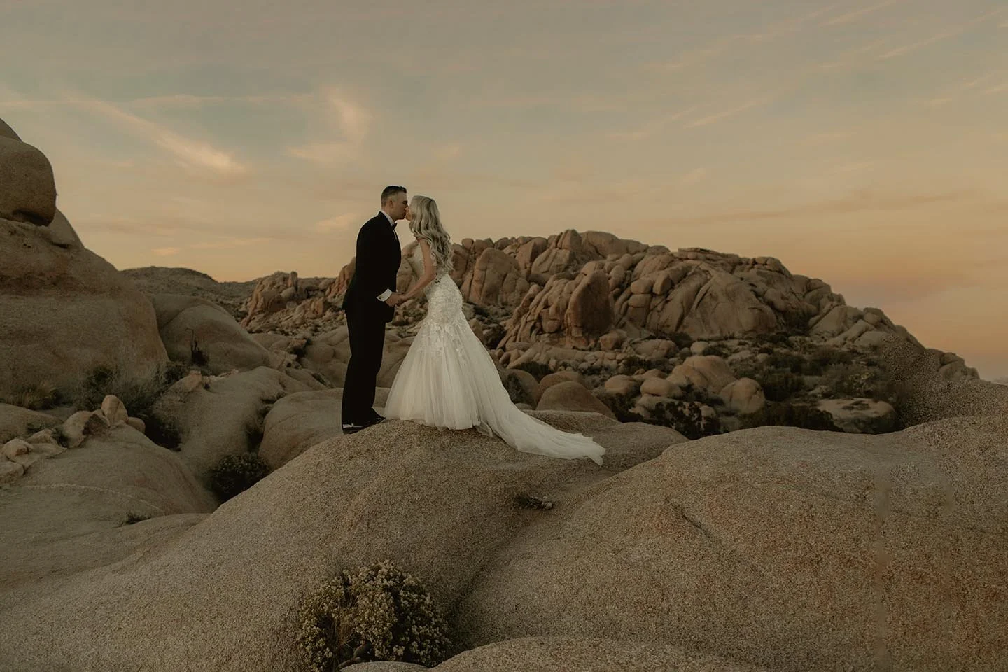 ranucci photography - joshua tree elopement photographer 18.jpg