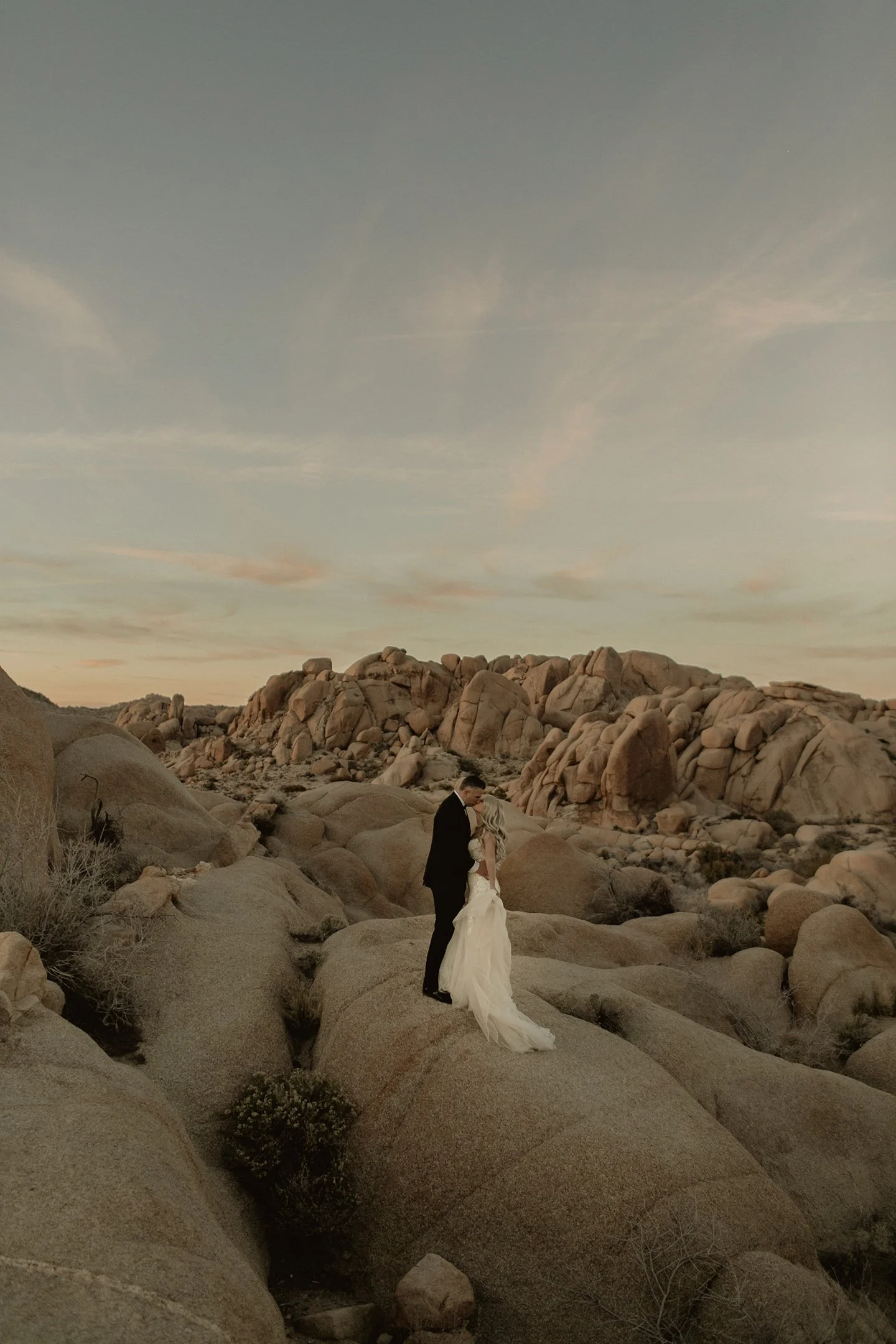 wedding photographer in joshua tree national park, california